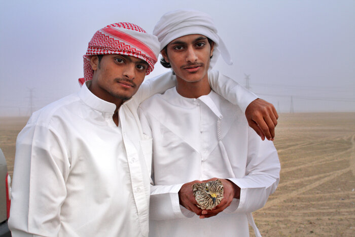 Falconry, United Arab Emirates