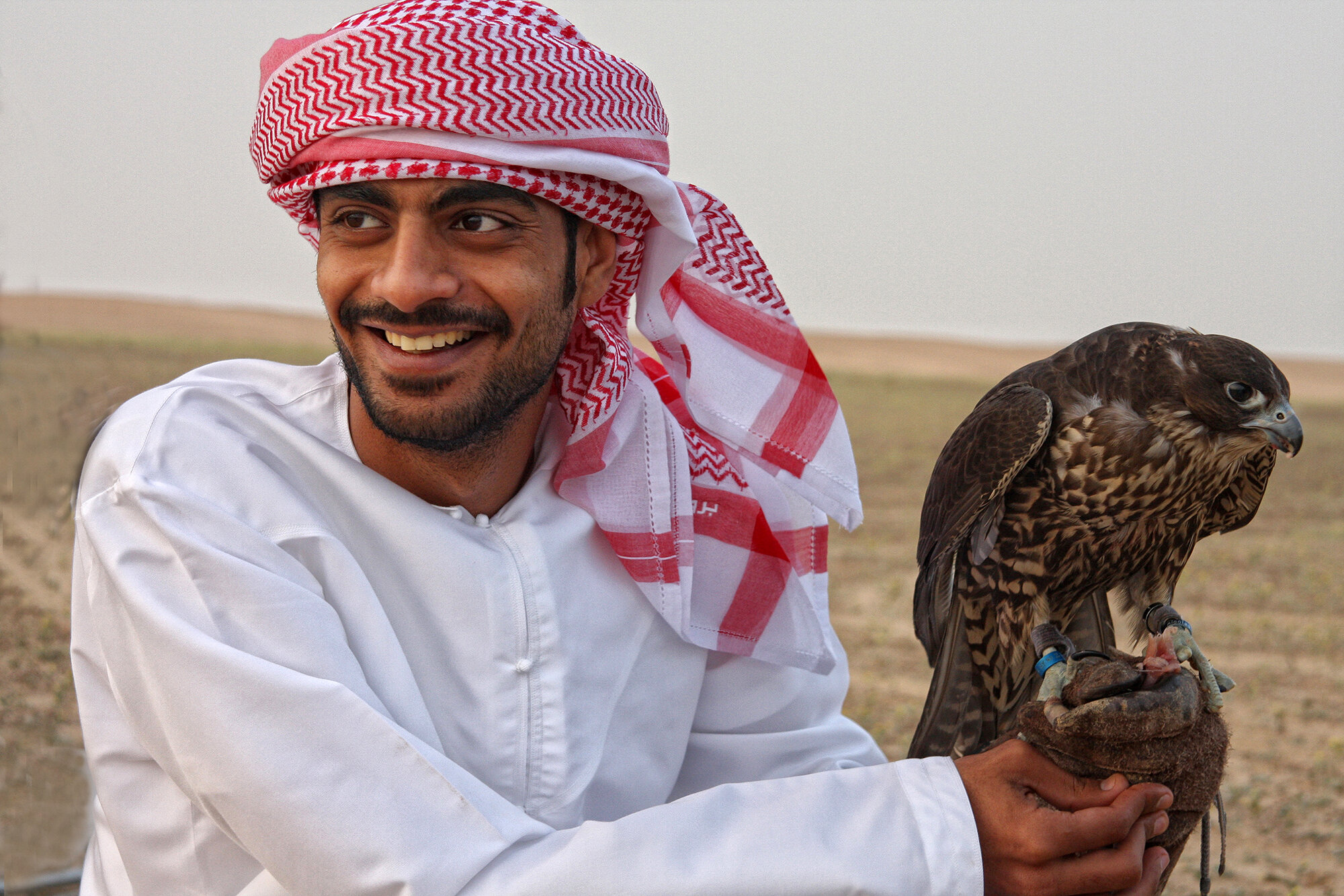 Falconry, United Arab Emirates