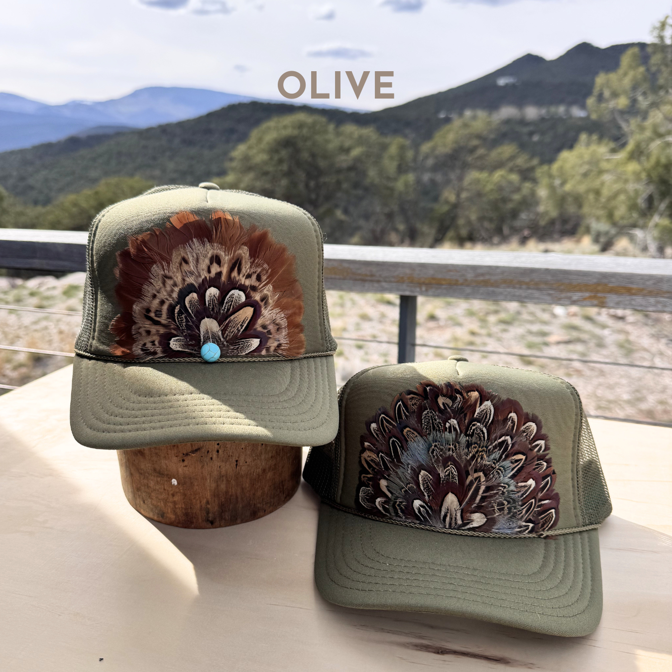 Trucker Designs (1350 x 1350 px).png