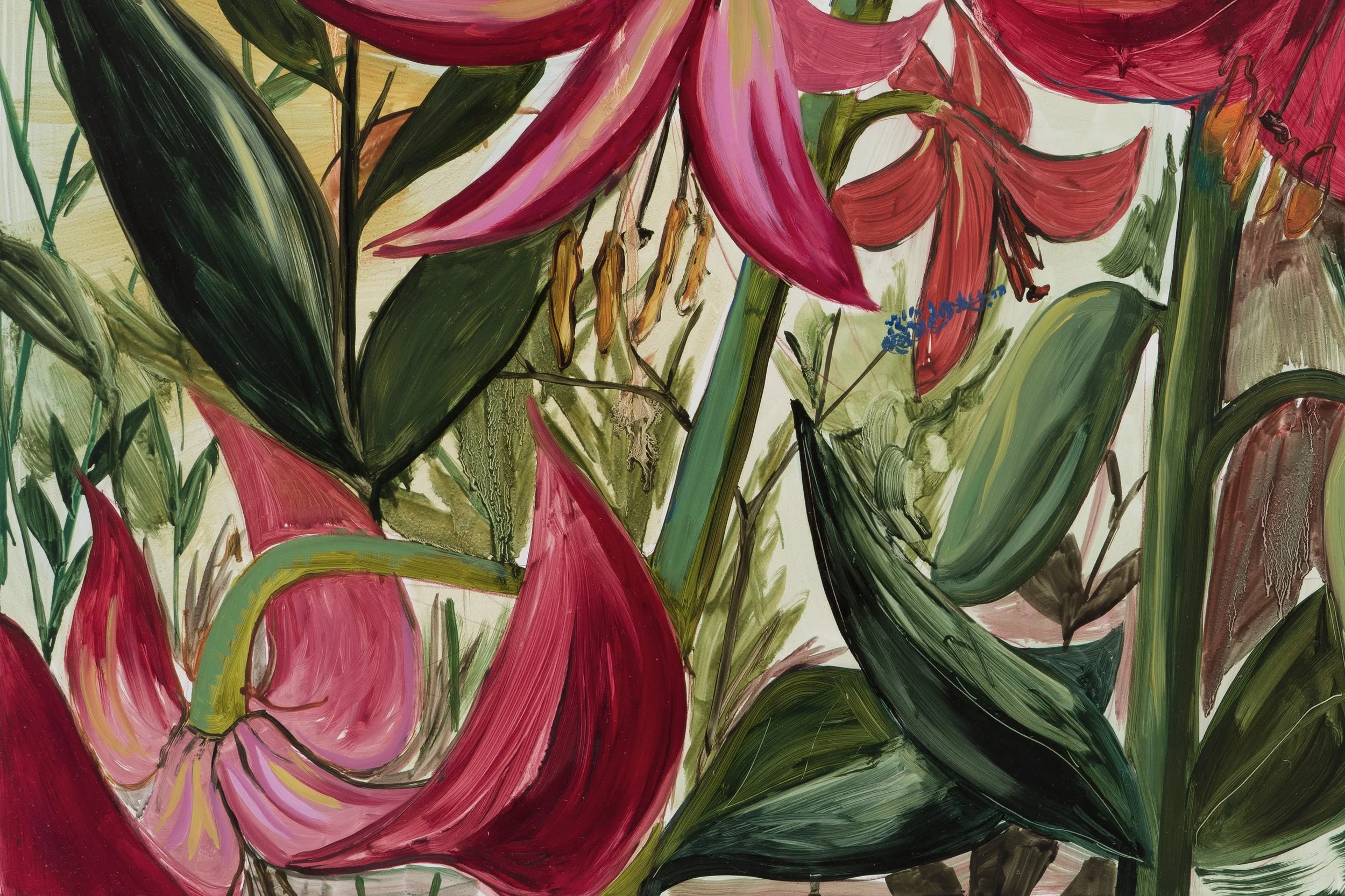 KOna_004_05 copy.jpeg