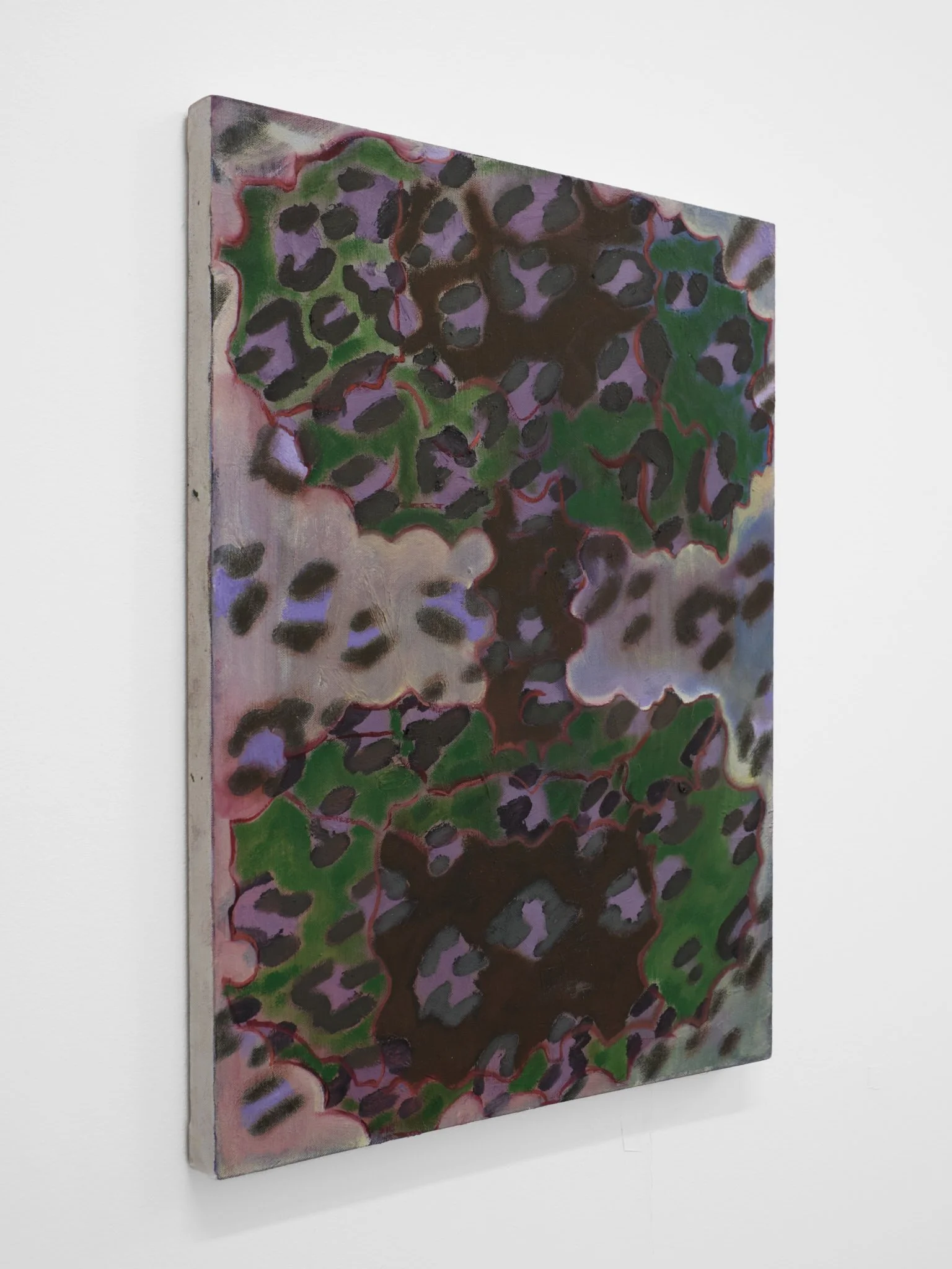MCS_006_02.jpg