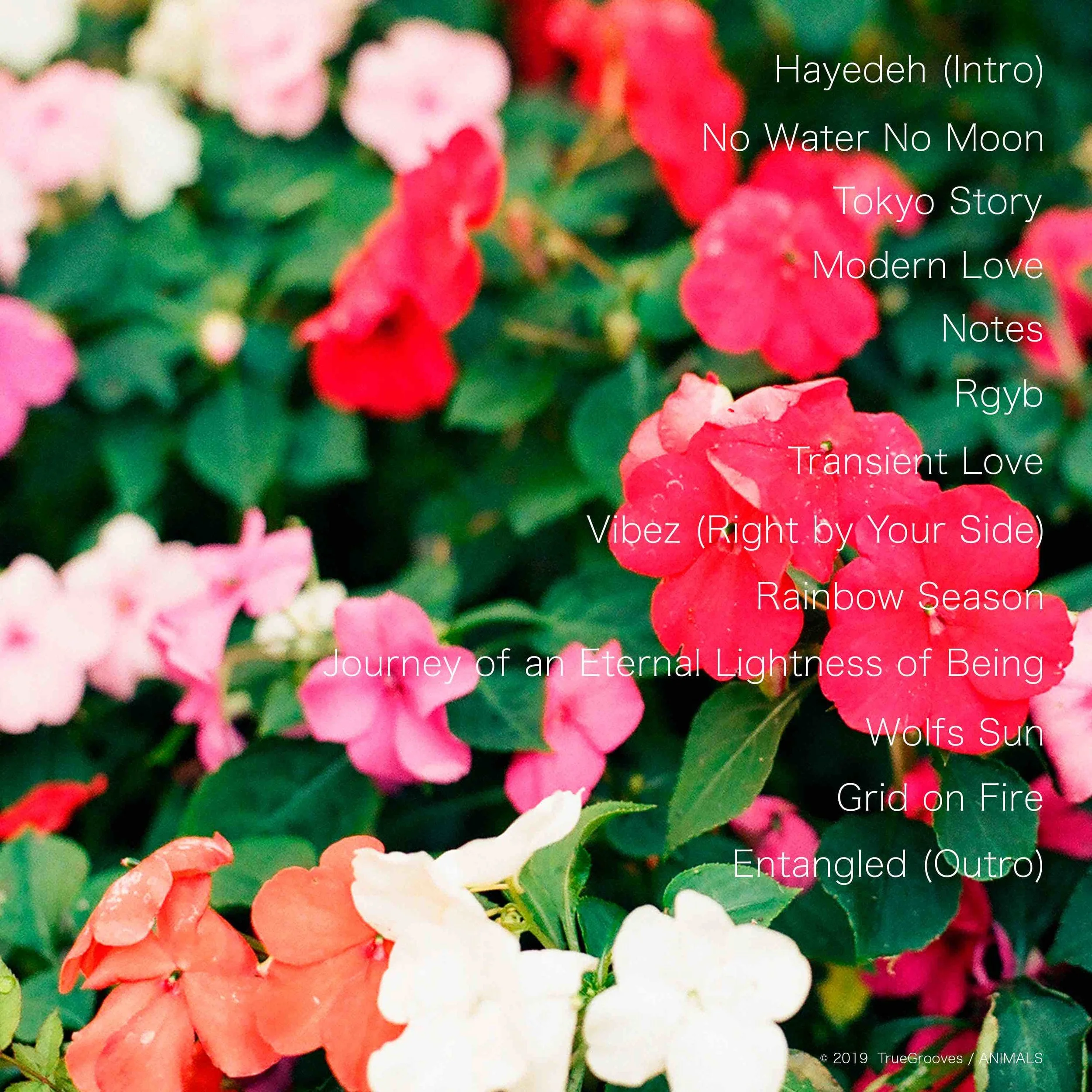 Rainbow-Season_Cover-Art_Back_Web.jpg