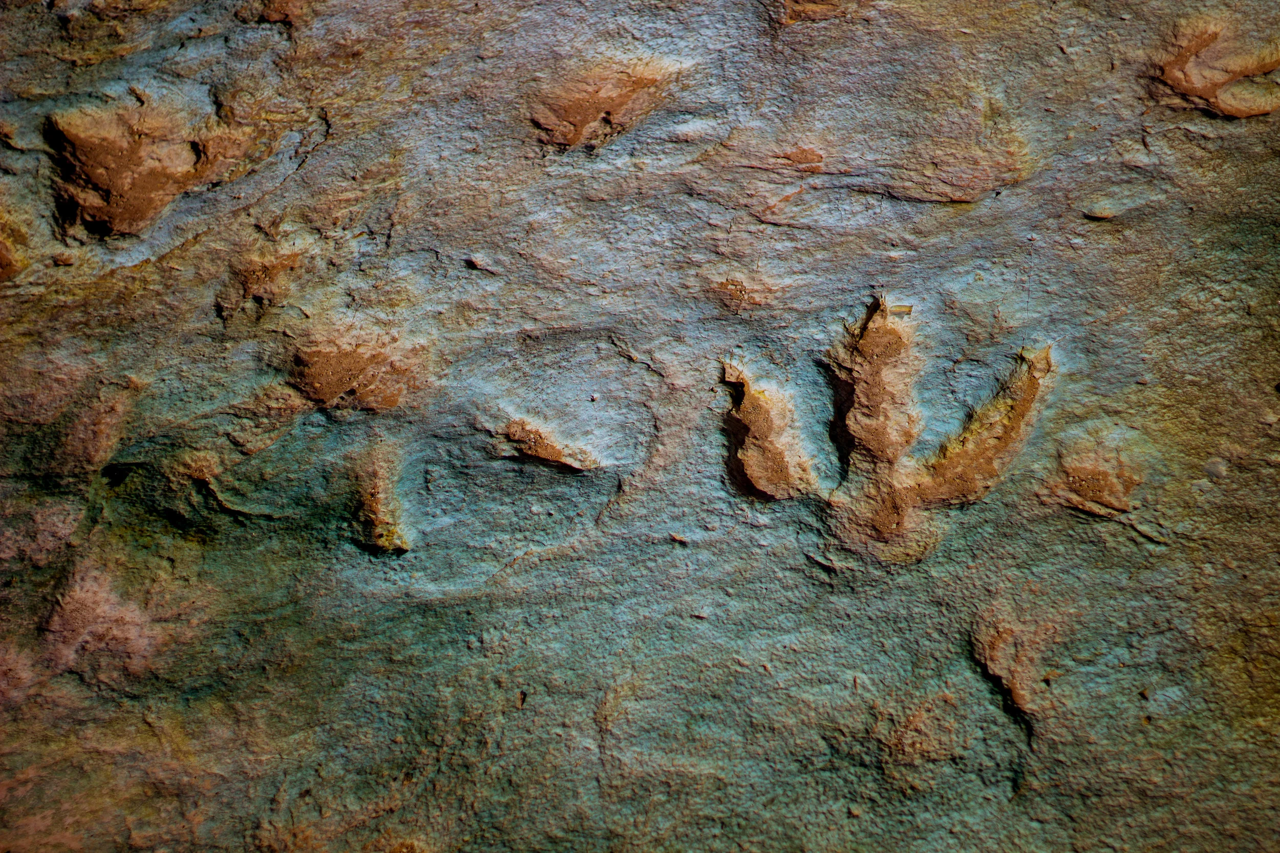 Name of Track: Irenesauripus / Early Cretaceous (~142 million years ago)