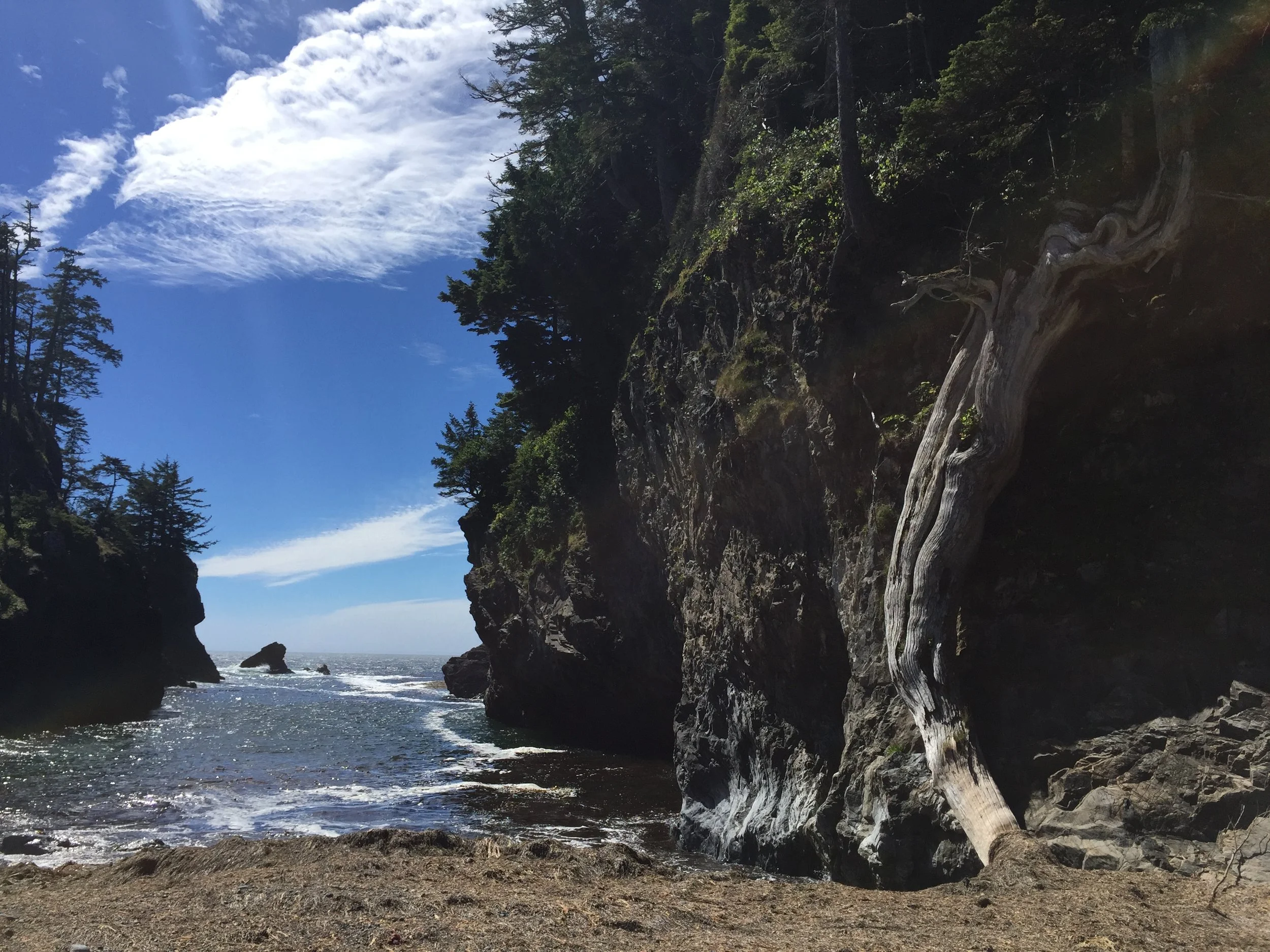 6: Backpacking the Nootka Trail