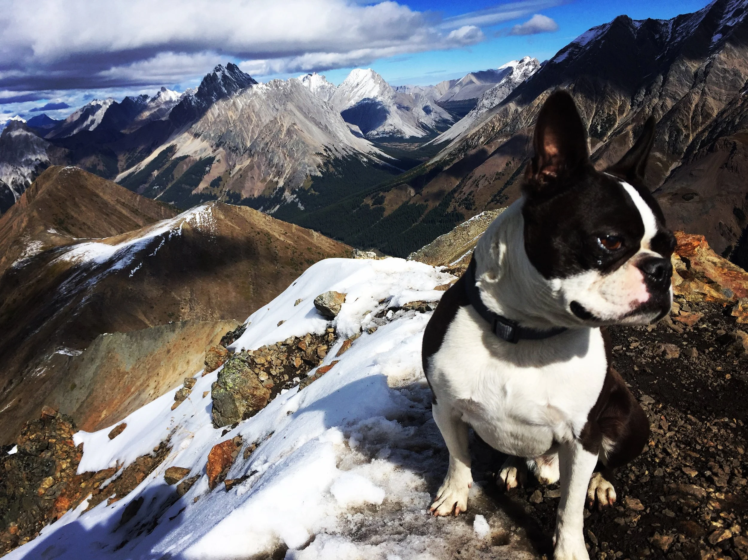 10: Hiking Pocaterra Ridge