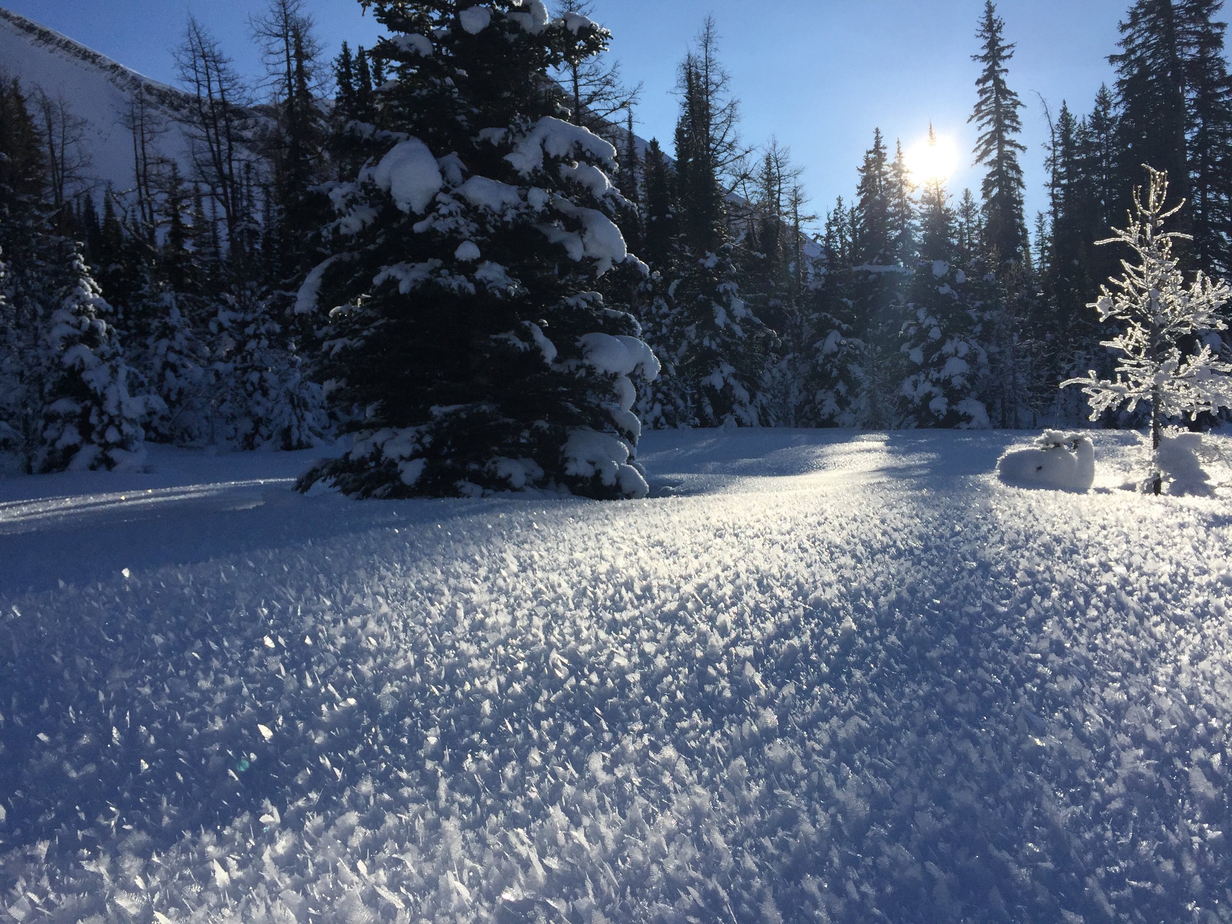 13: Snowshoe to Chester Lake