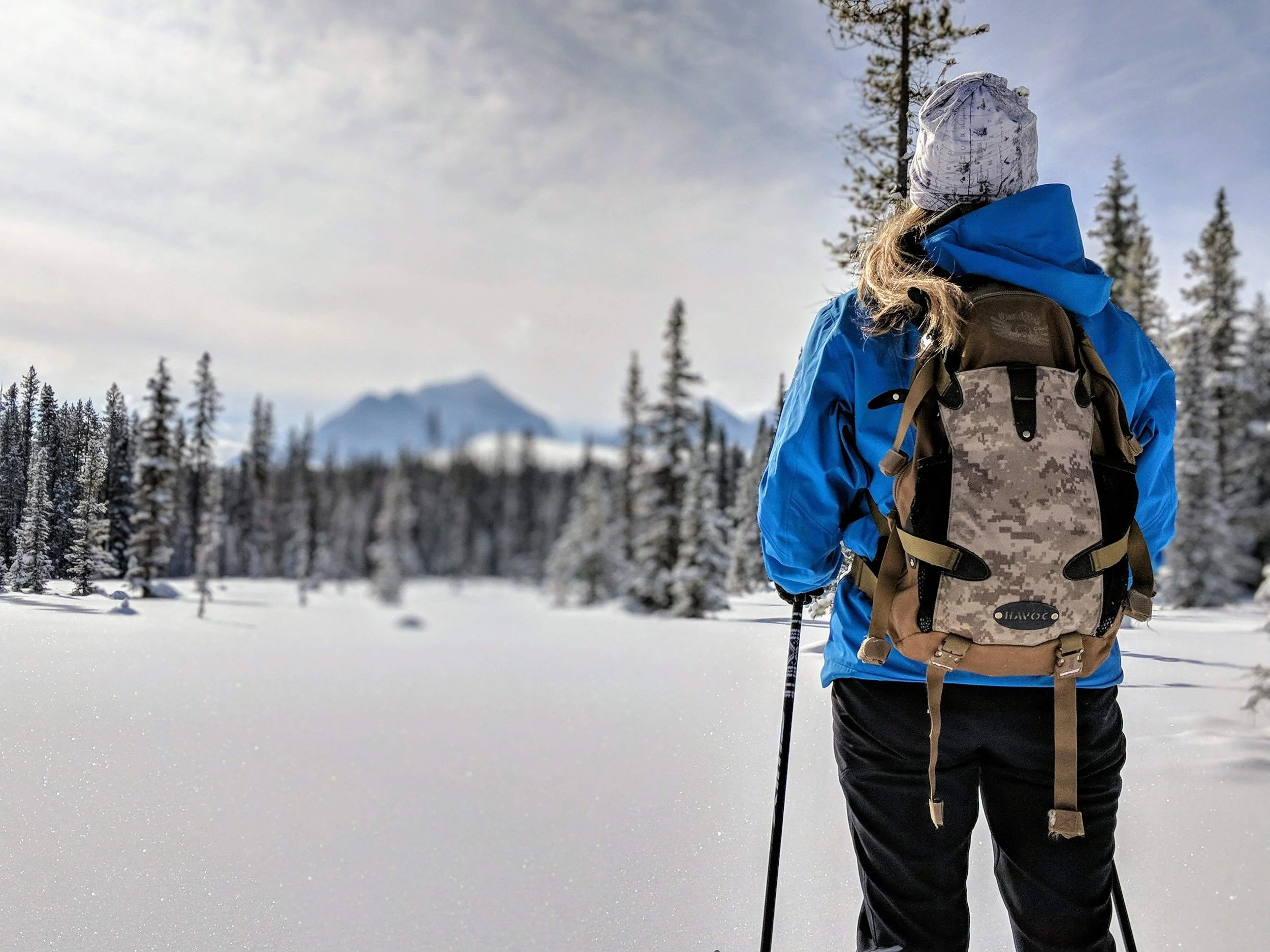 16: Pipestone Cross Country Ski Trails, Lake Louise AB