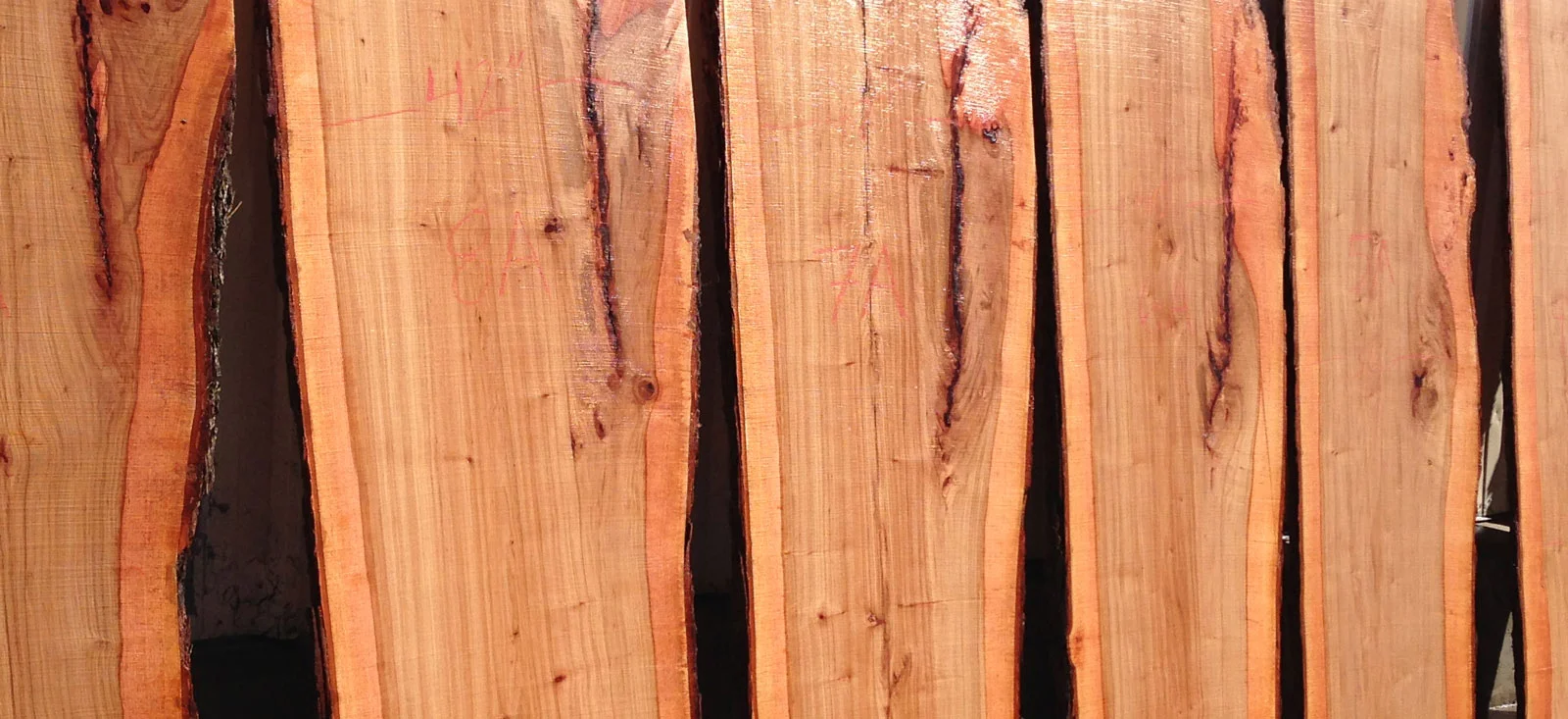 Flitch-Header.jpg
