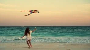 Free Flight Safety Film - NZHGPA