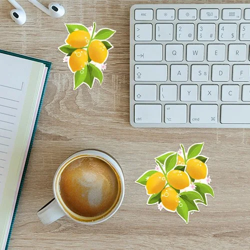 Vilmas_Lemons_Mockup copy.jpg