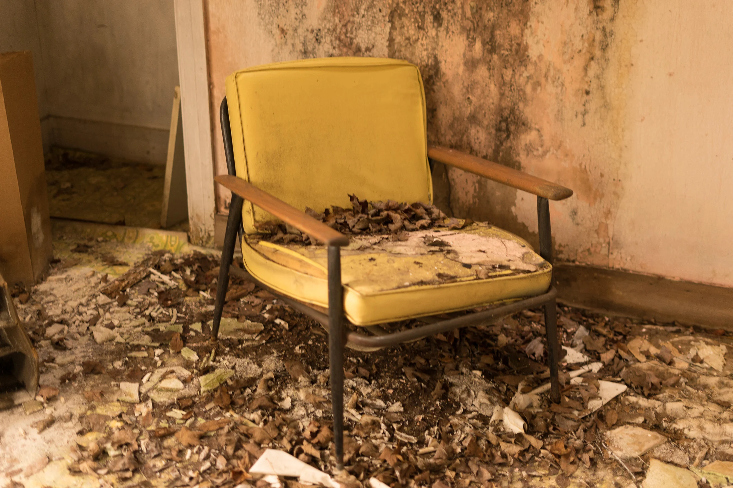 1960'syellowswedechair.jpg