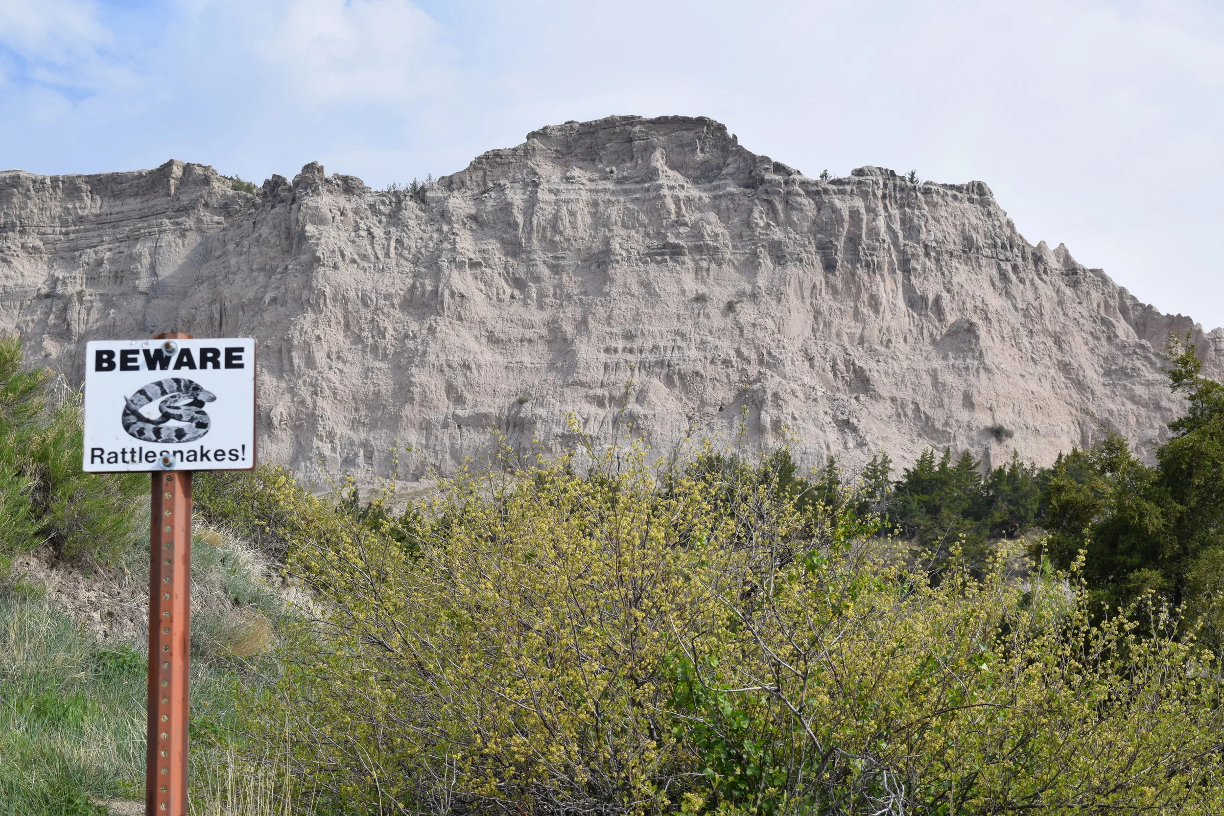 DSC_0065.JPG