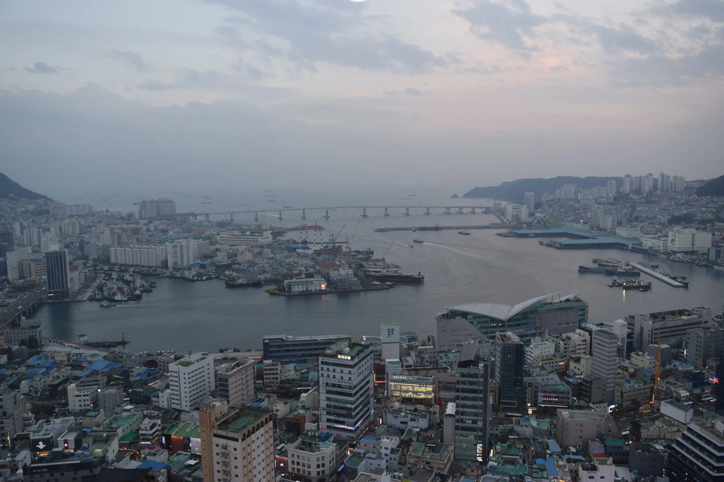 DSC_0115.JPG