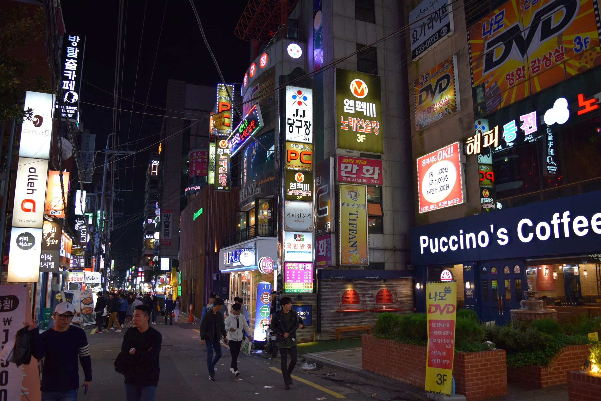 DSC_0148.JPG