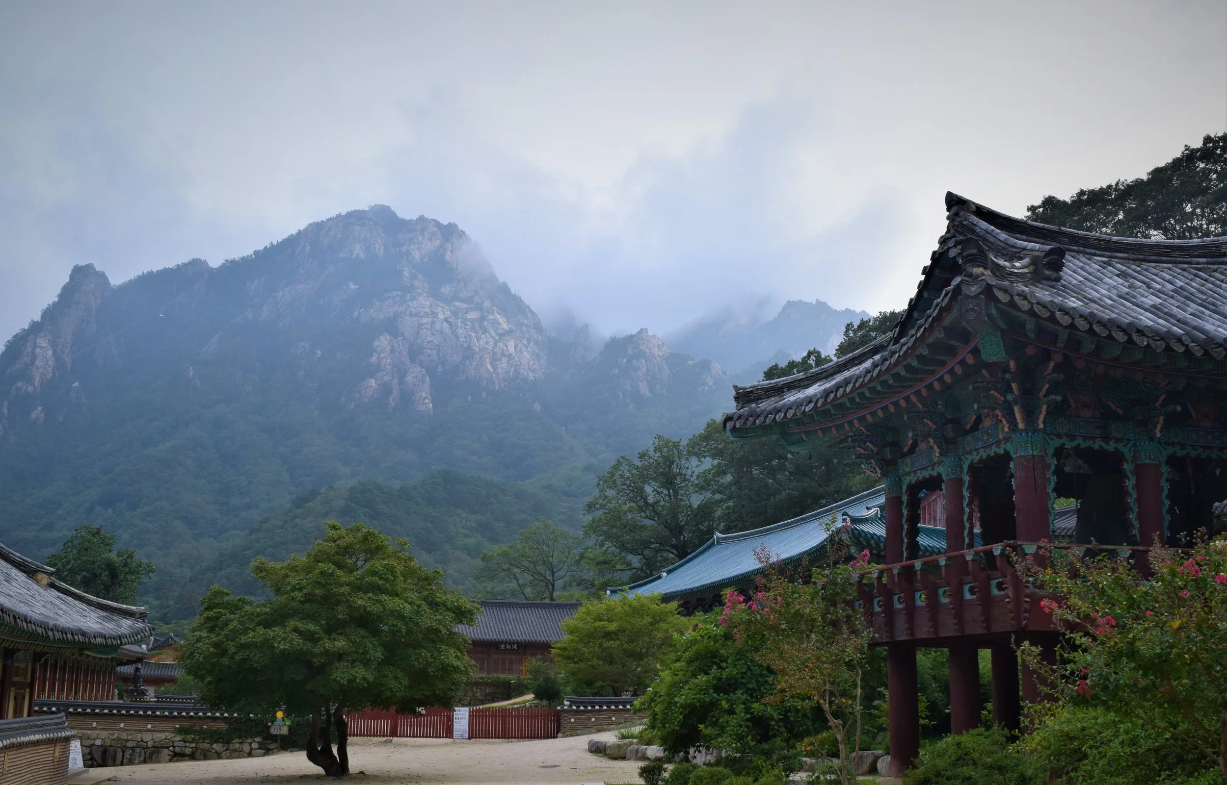 A - Korea Edit 2.JPG