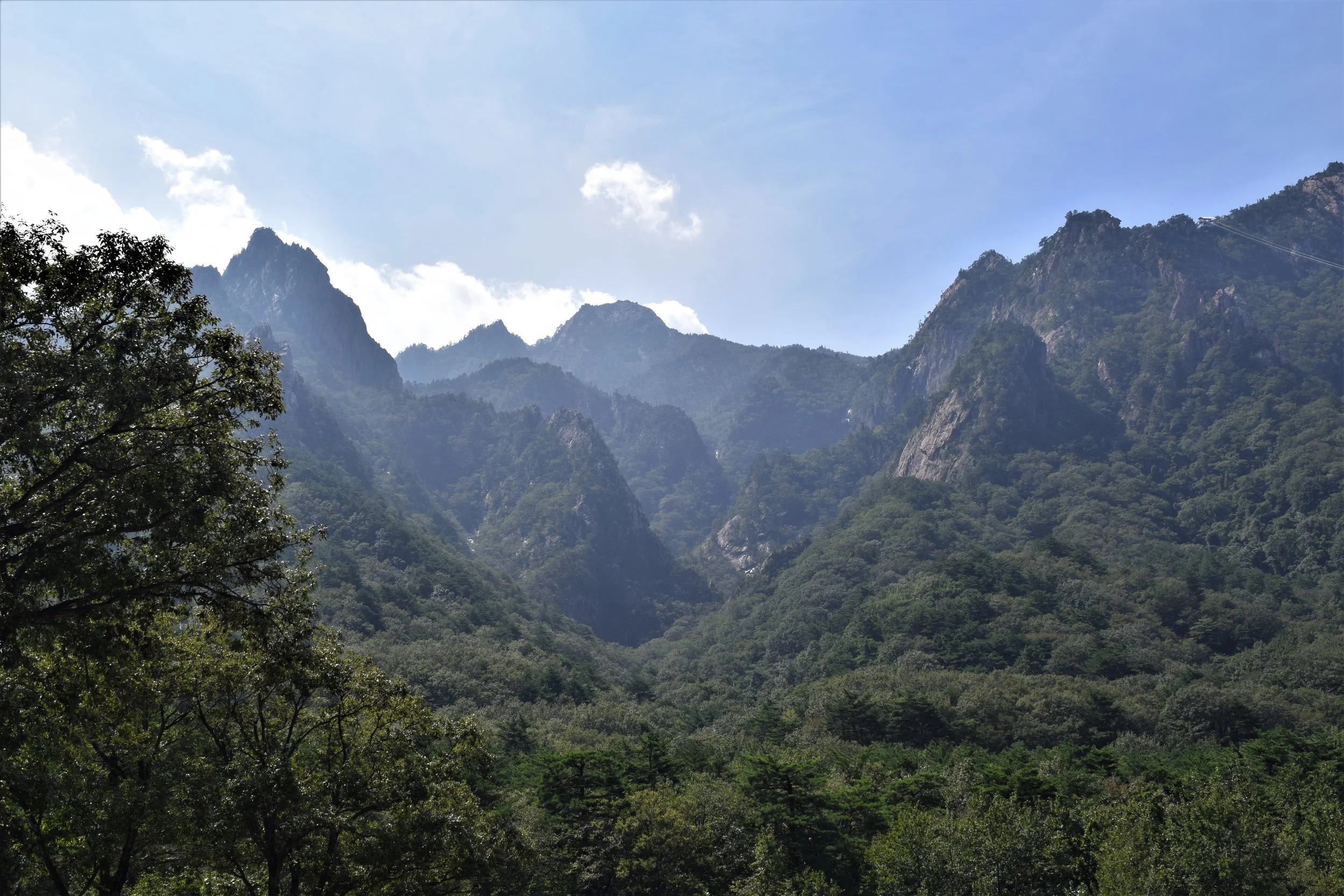 A - Korean Edit 4.JPG