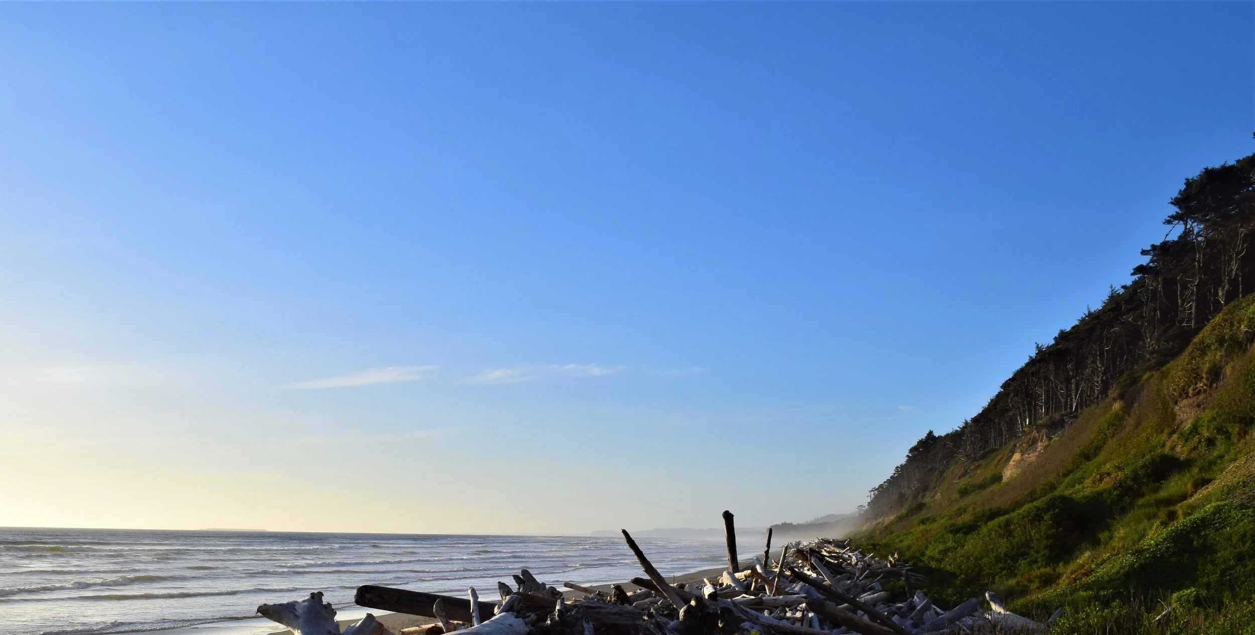 A - Pacific Edit 01.JPG