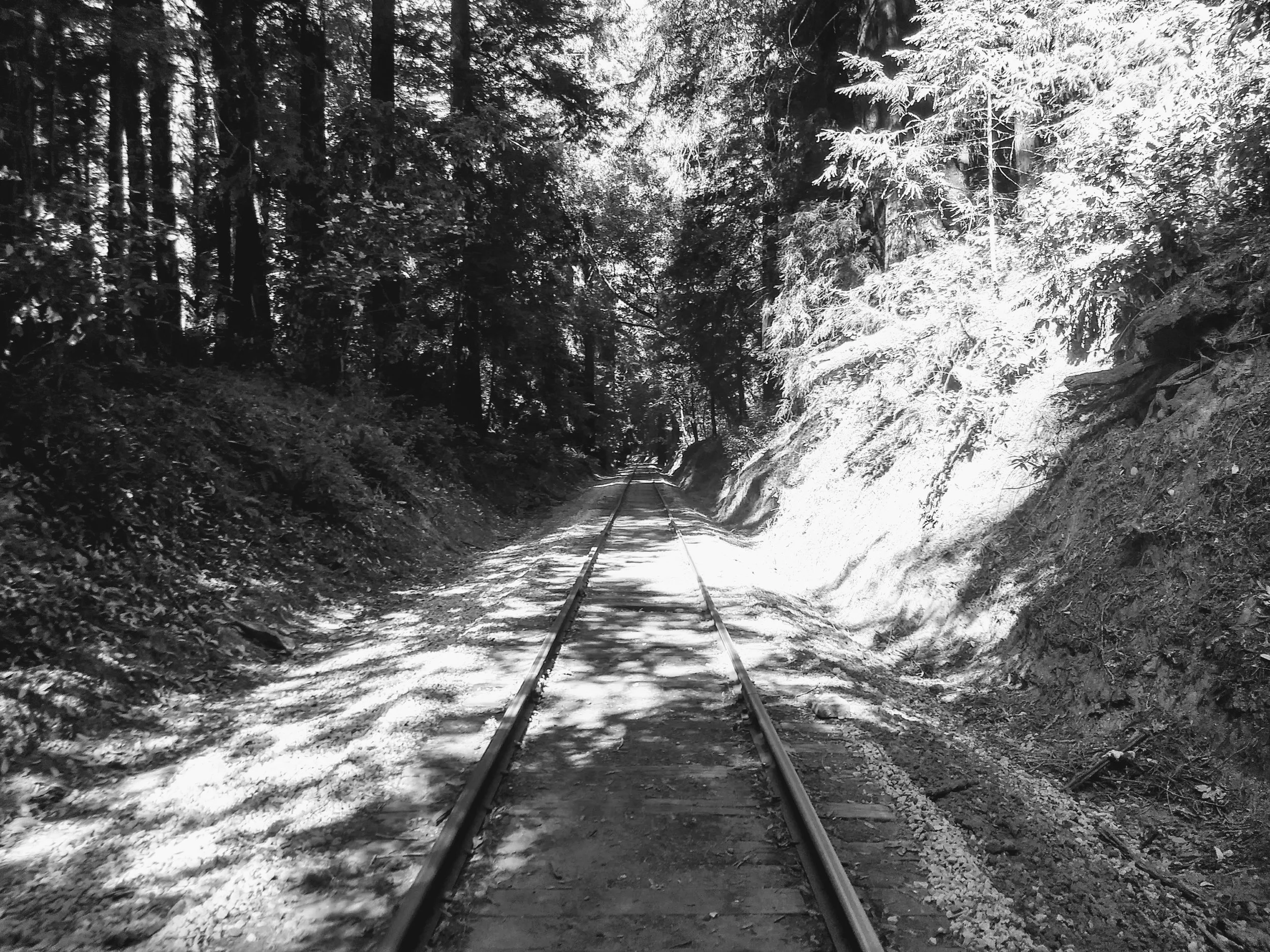 Train tracks.jpg