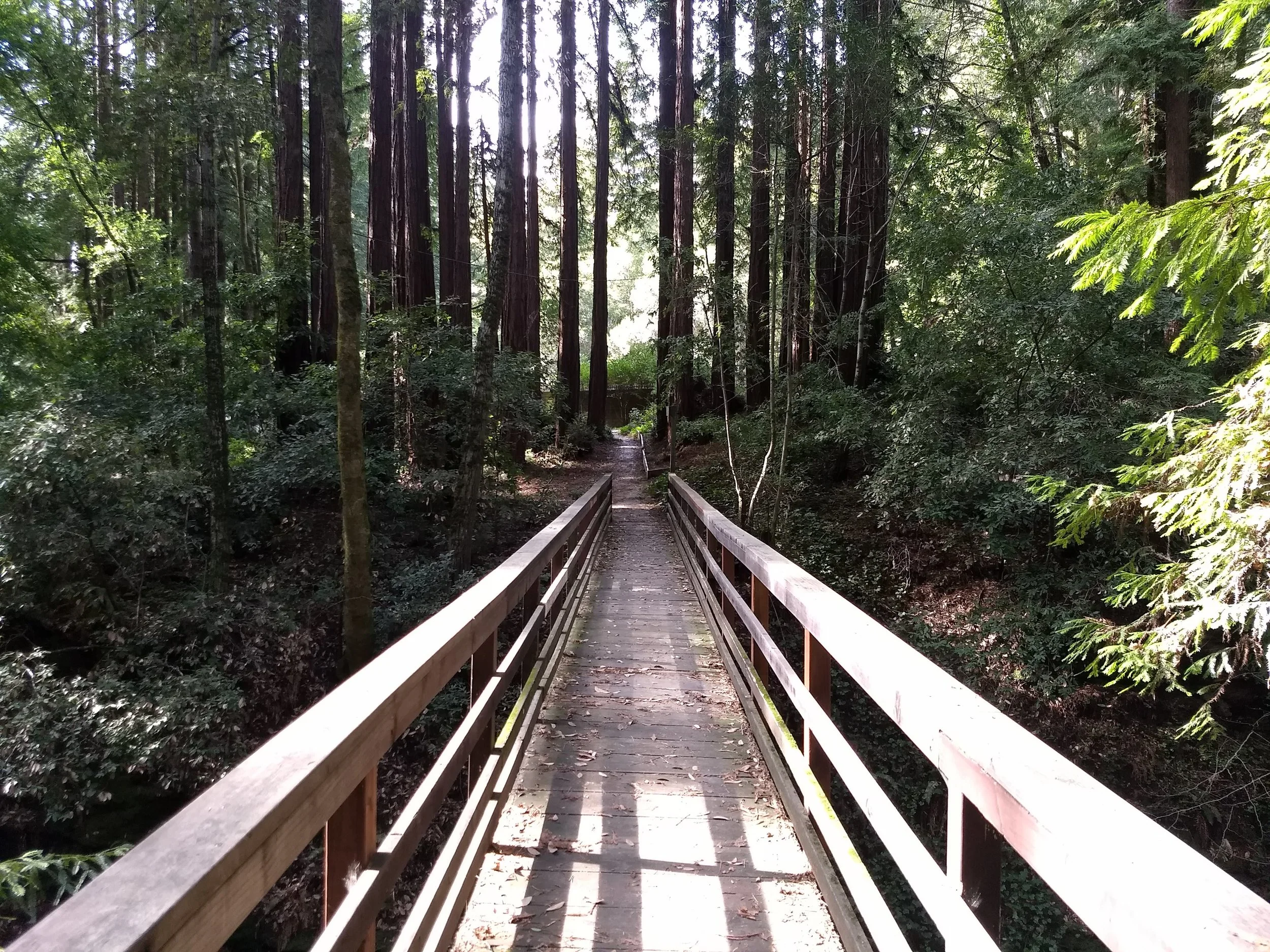 Bridge.jpg
