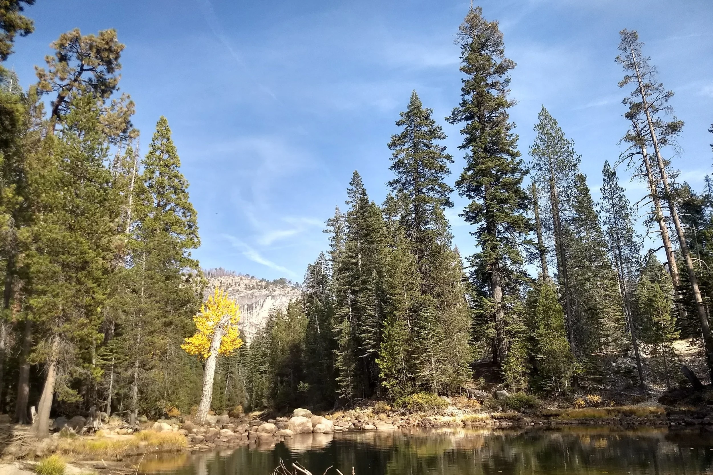 IMG_20181026_152718782_HDR.jpg