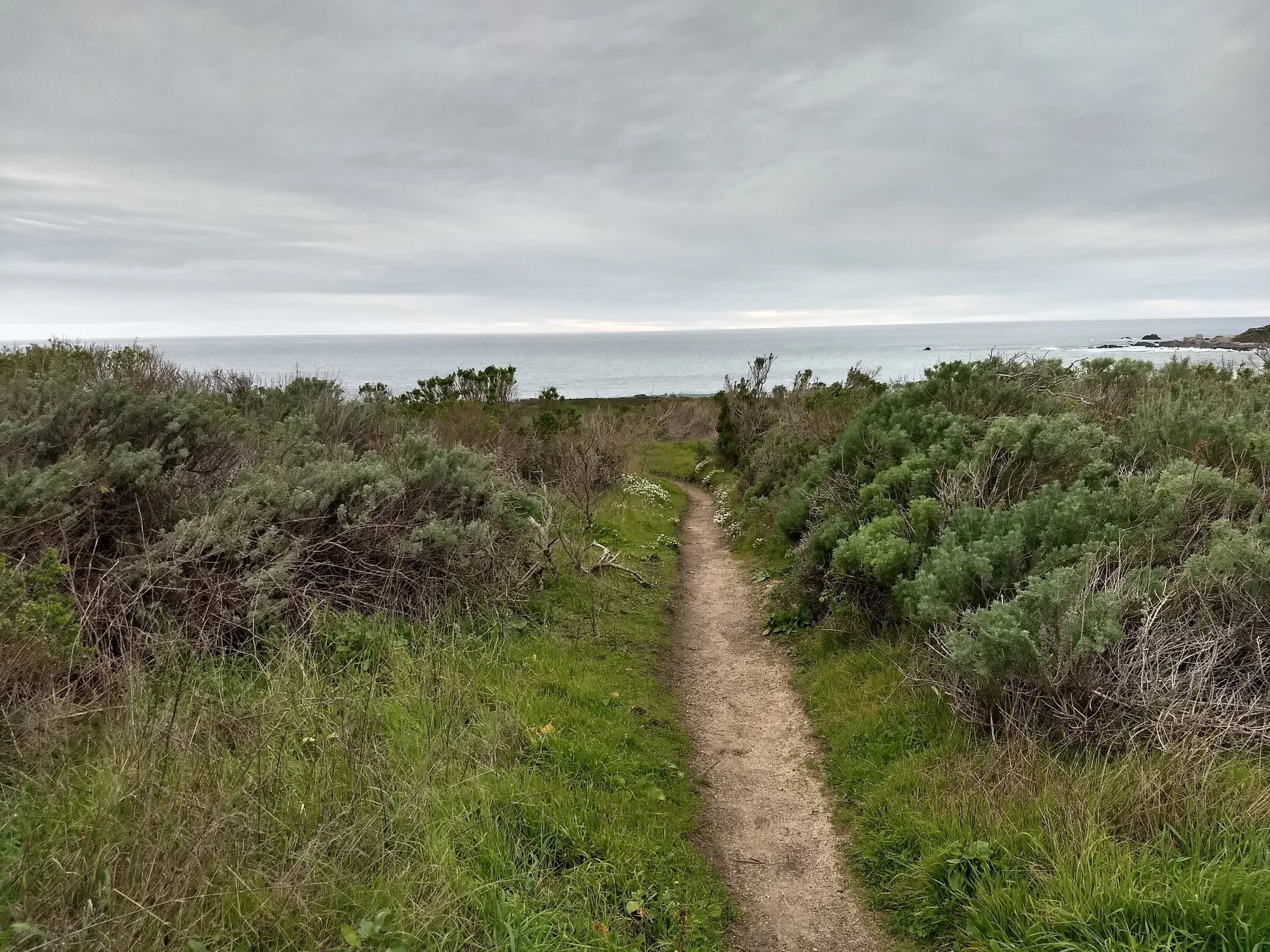 IMG_20190301_164817446_HDR.jpg
