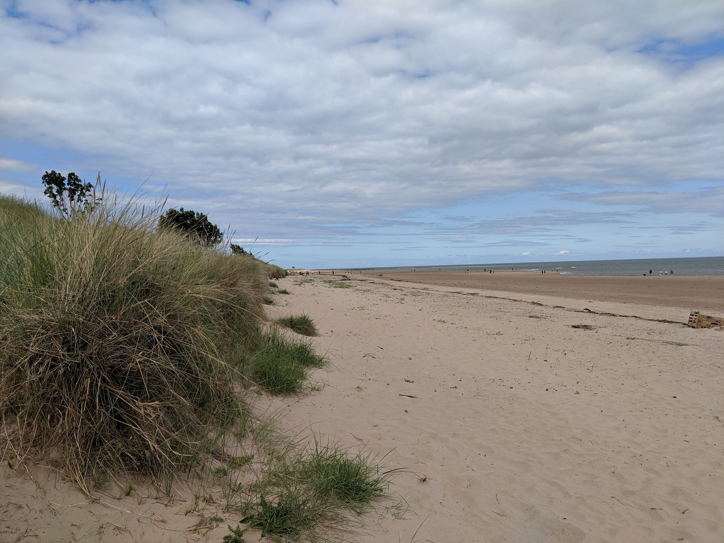 faith pursues god.jpg