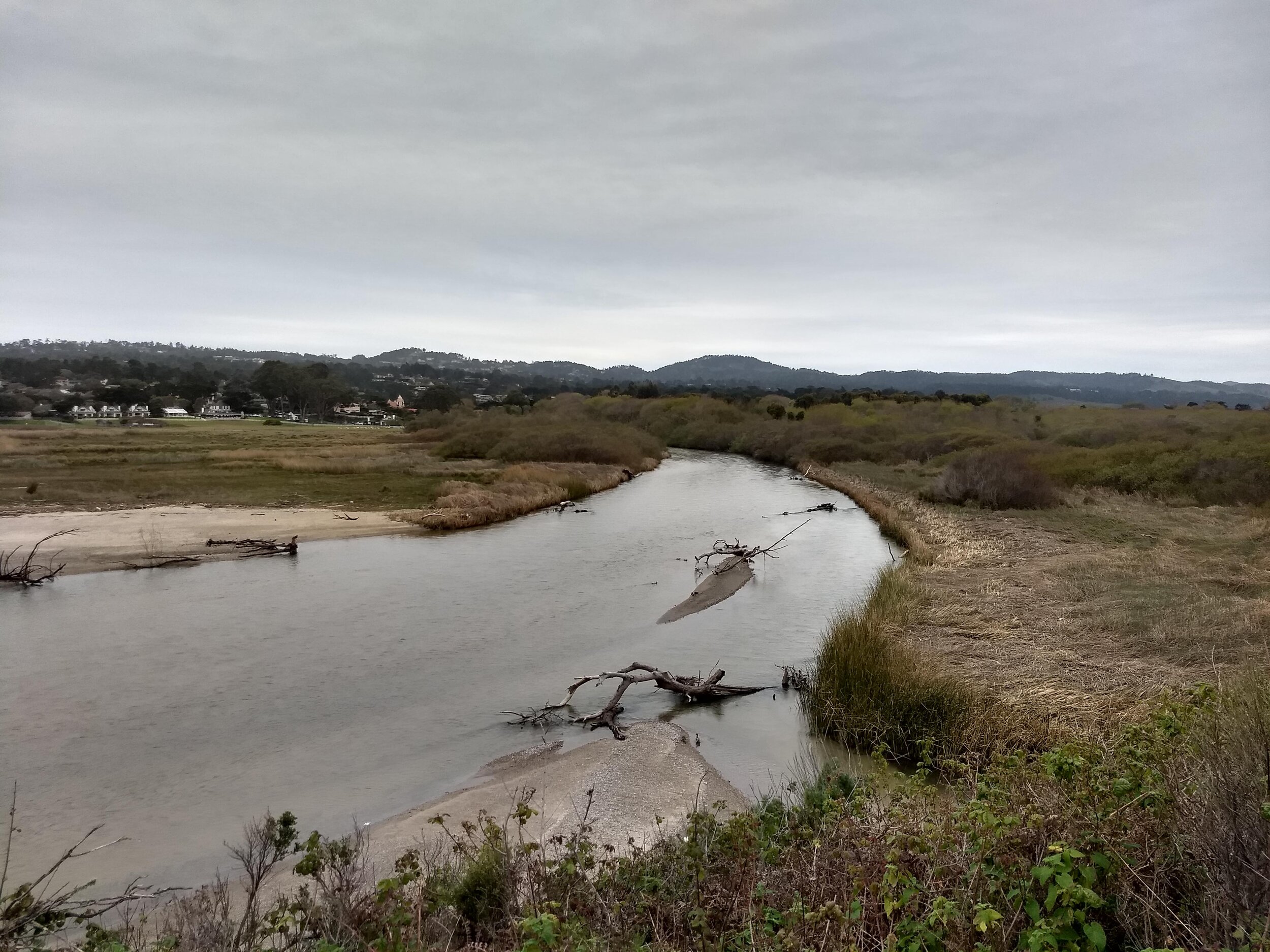 God vs Floods.jpg