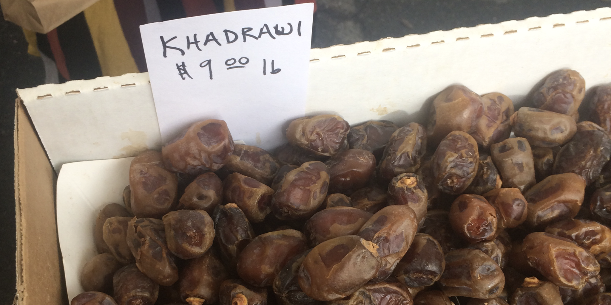 Khadrawi Dates Flying Disc Ranch Basking in Goodness
