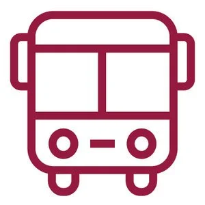 Bus Timetable Medium image-asset.jpeg