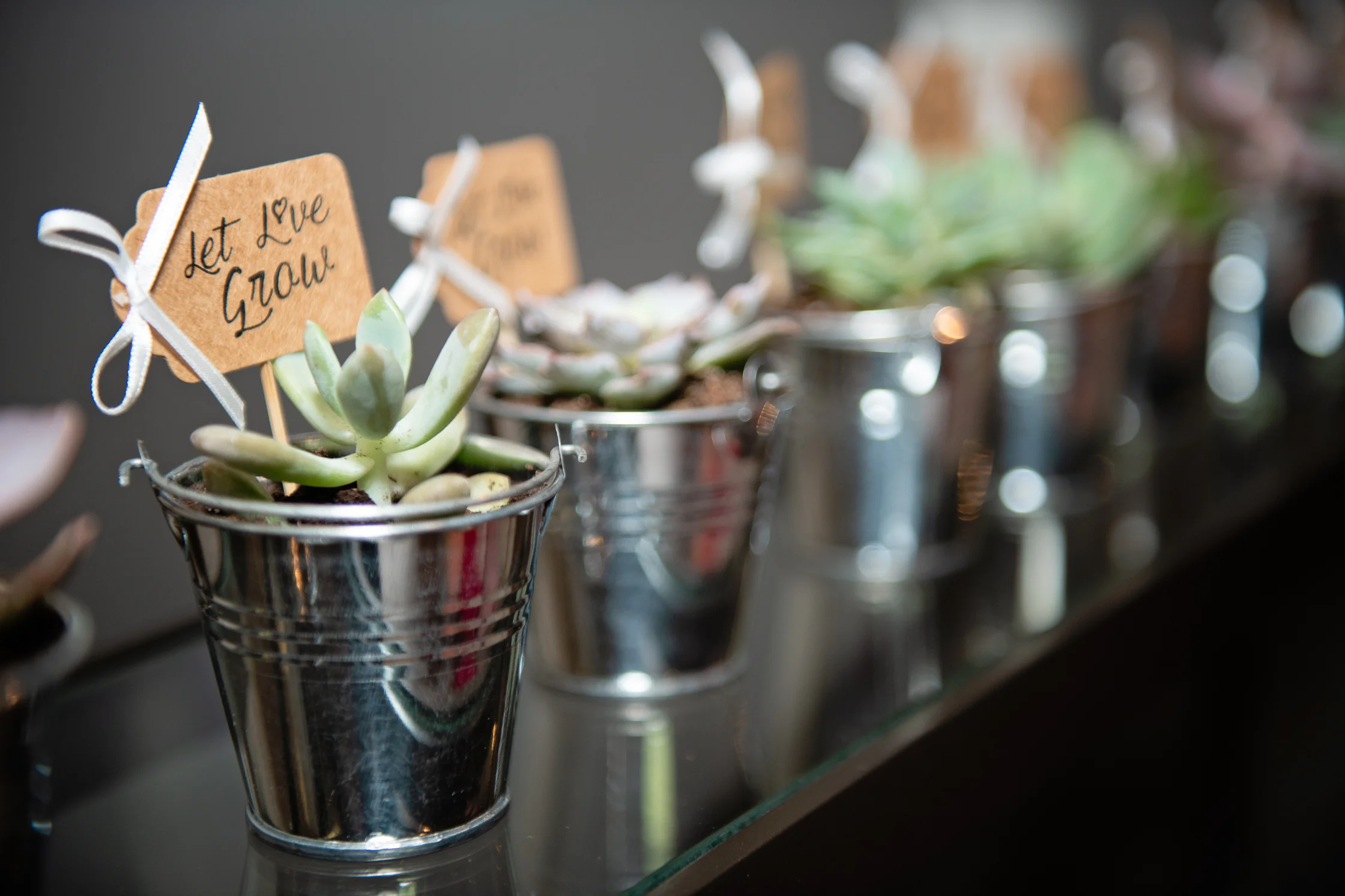 Schmitt Baby Shower-192.jpg