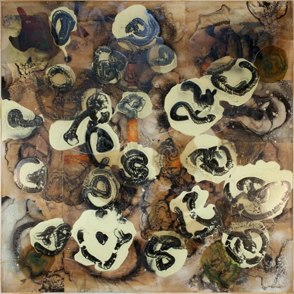 60x60c