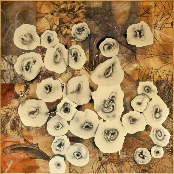 60x60b