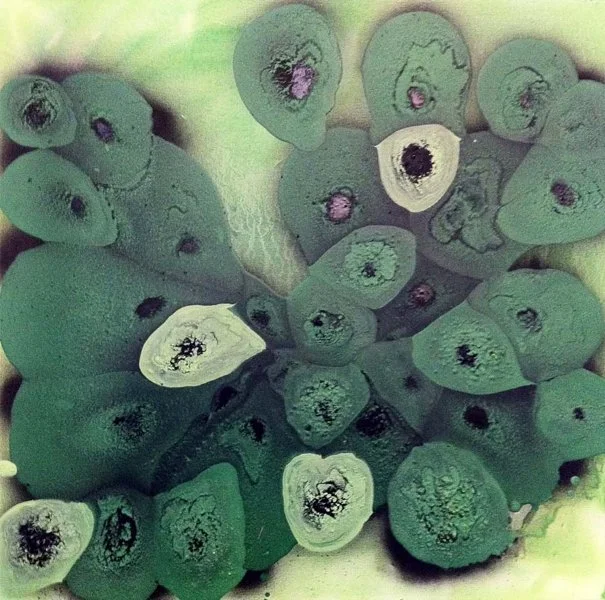 Green Cells
