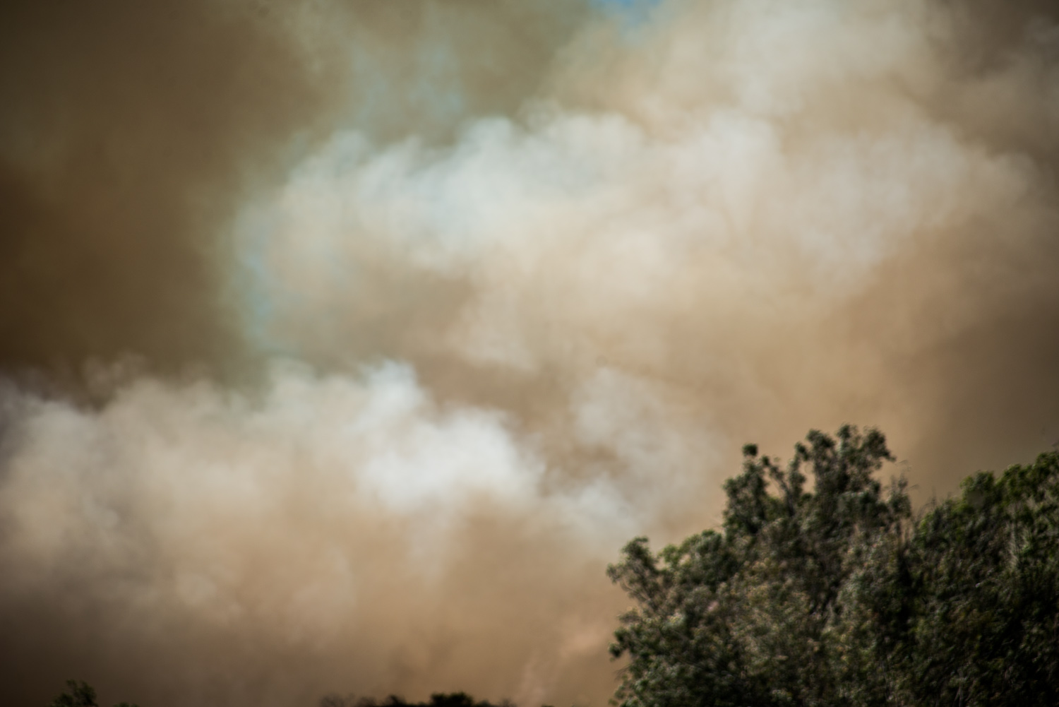 Fire With Trees Monrovia, California, © Robert Welkie 2016