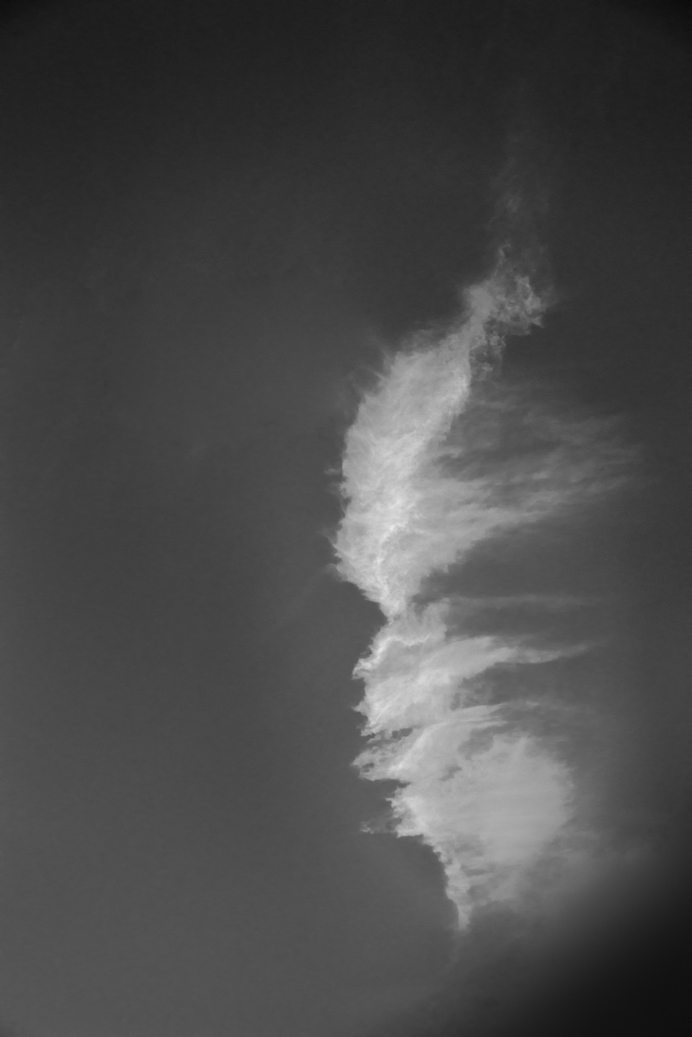 Cloud above Arcadia, California, © Robert Welkie 2016