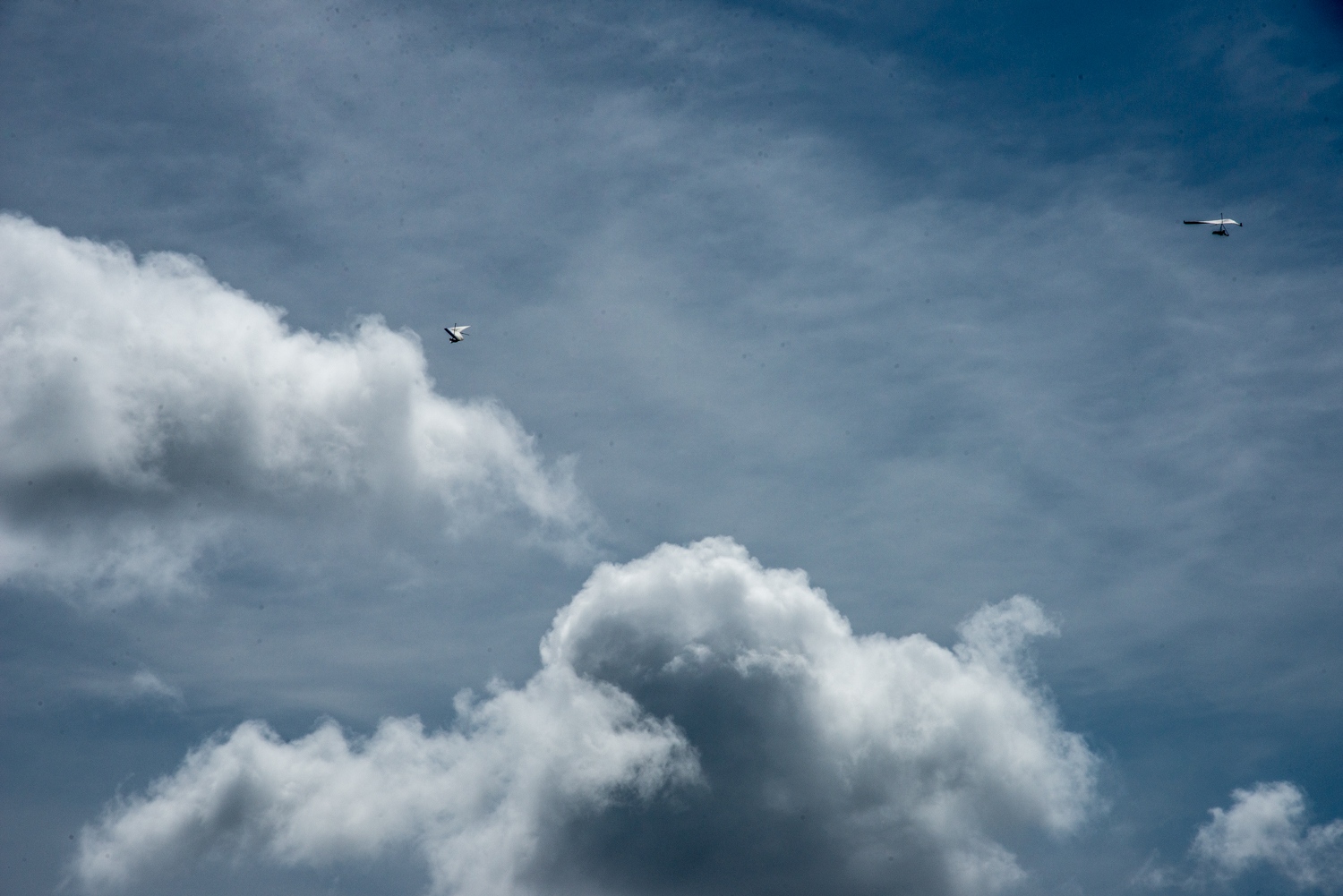  Hang Gliders above La Jolla, California, © Robert Welkie 2016 