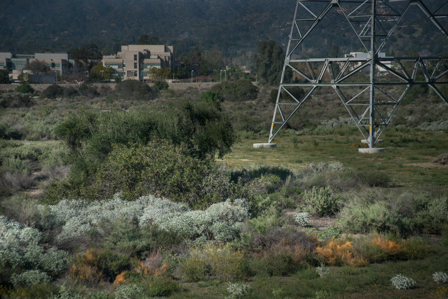 City of Hope, Duarte, California, © Robert Welkie 2016