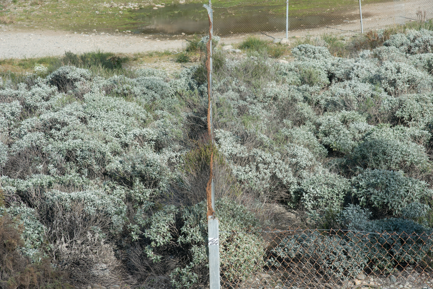 Fence, Duarte, California, © Robert Welkie 2016