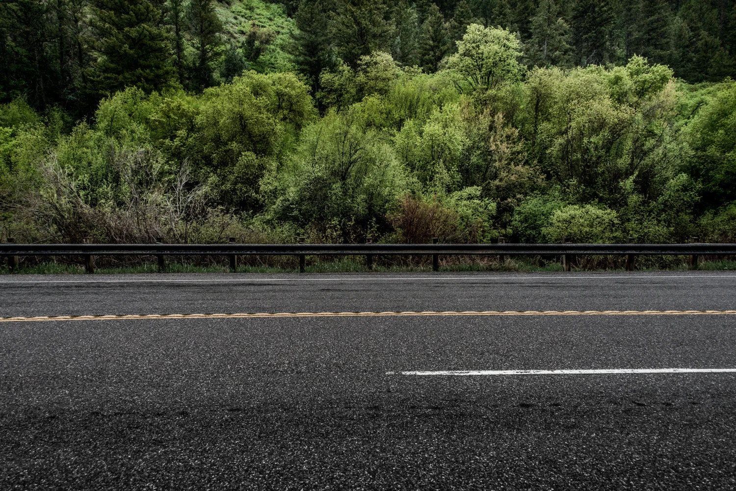 Guardrail, Logan Canyon, Utah, © Robert Welkie