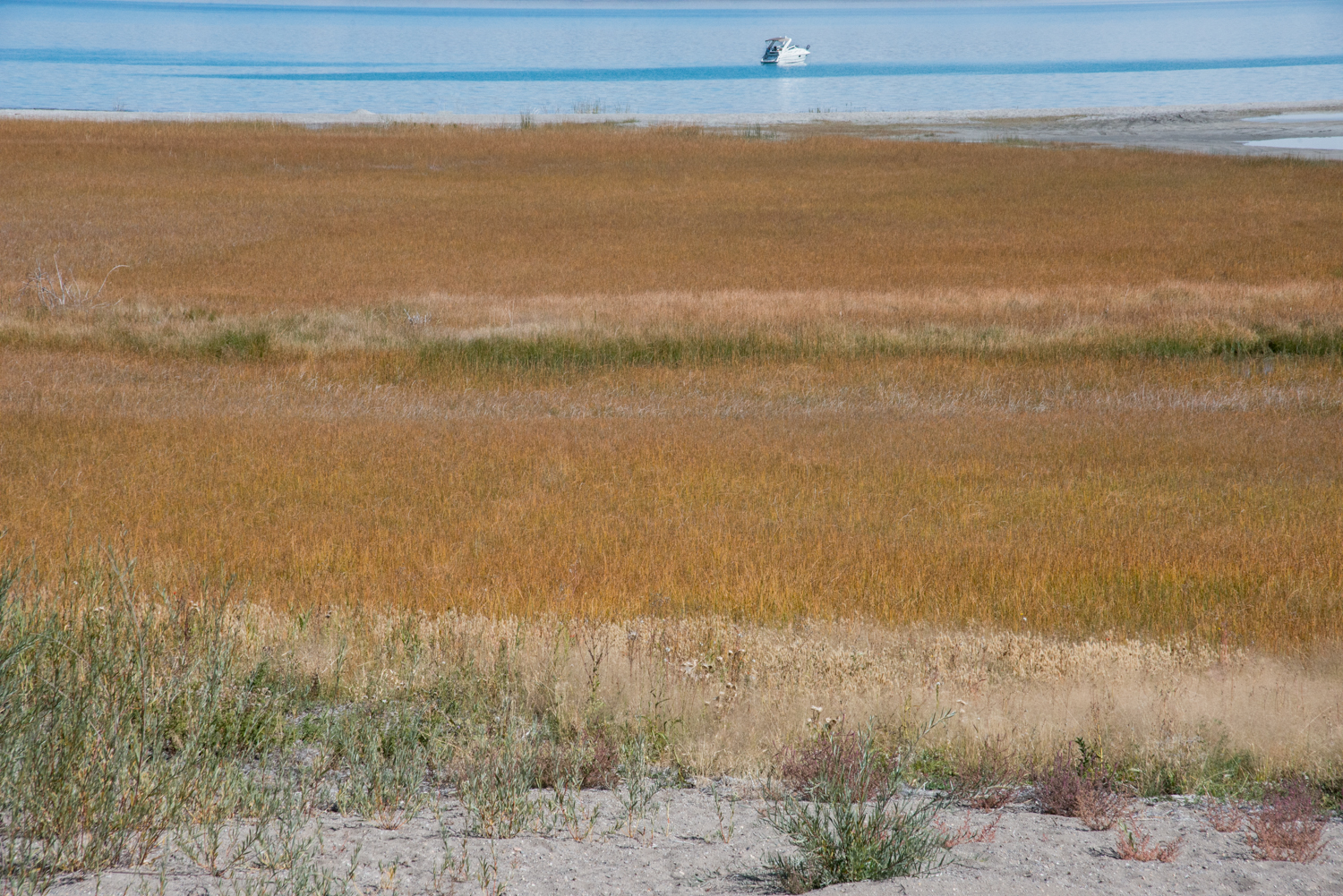  Bear Lake, Fish Haven, Idaho © Robert Welkie 2016 