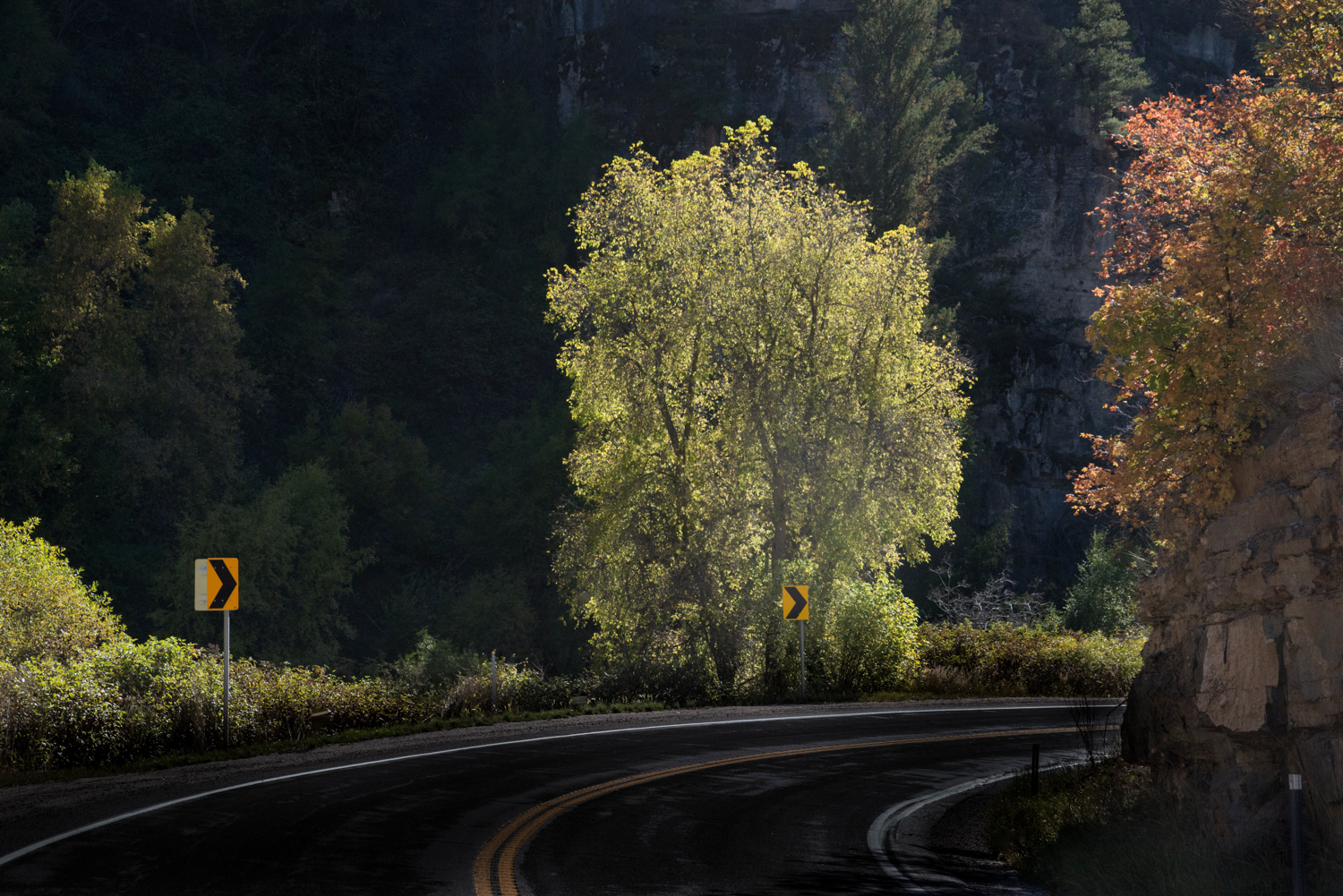  Curve, Logan Canyon, Utah © Robert Welkie 2016 