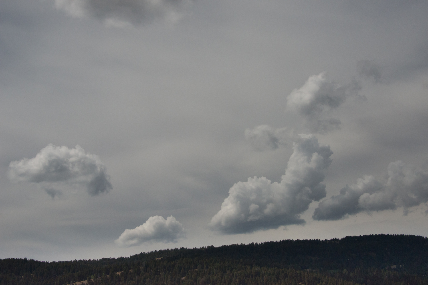 Clouds above Logan Canyon summit, Utah © Robert Welkie 2016