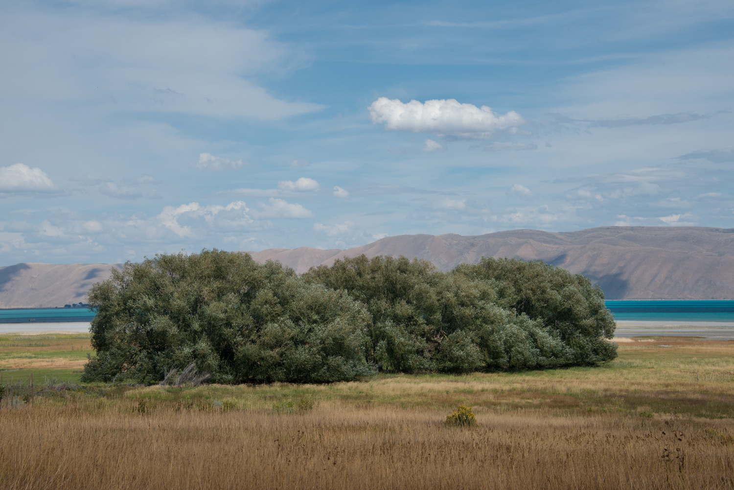 Cloud above trees near Garden City, Utah © Robert Welkie 2016