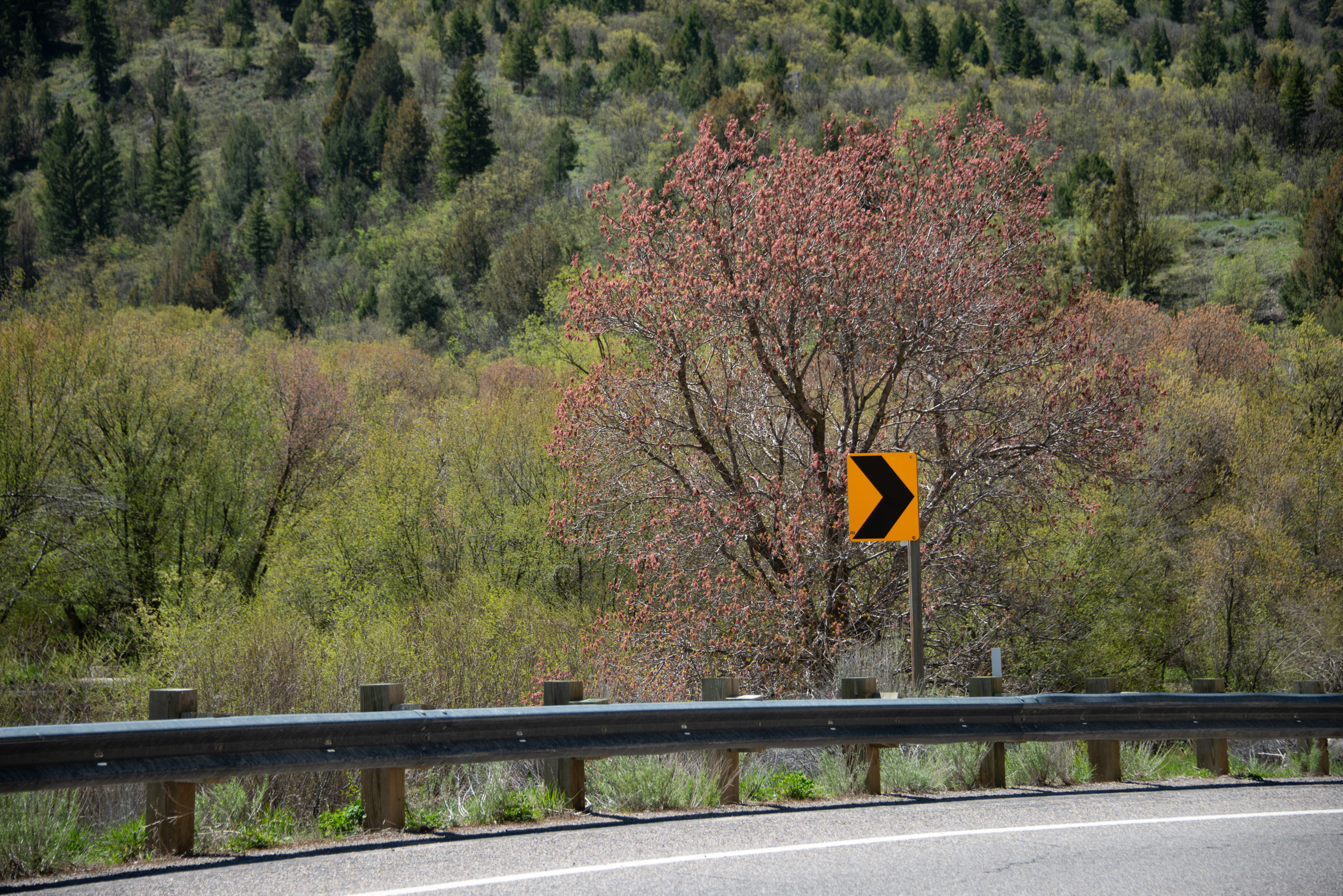  Sign in Logan Canyon, Utah © Robert Welkie 2017 