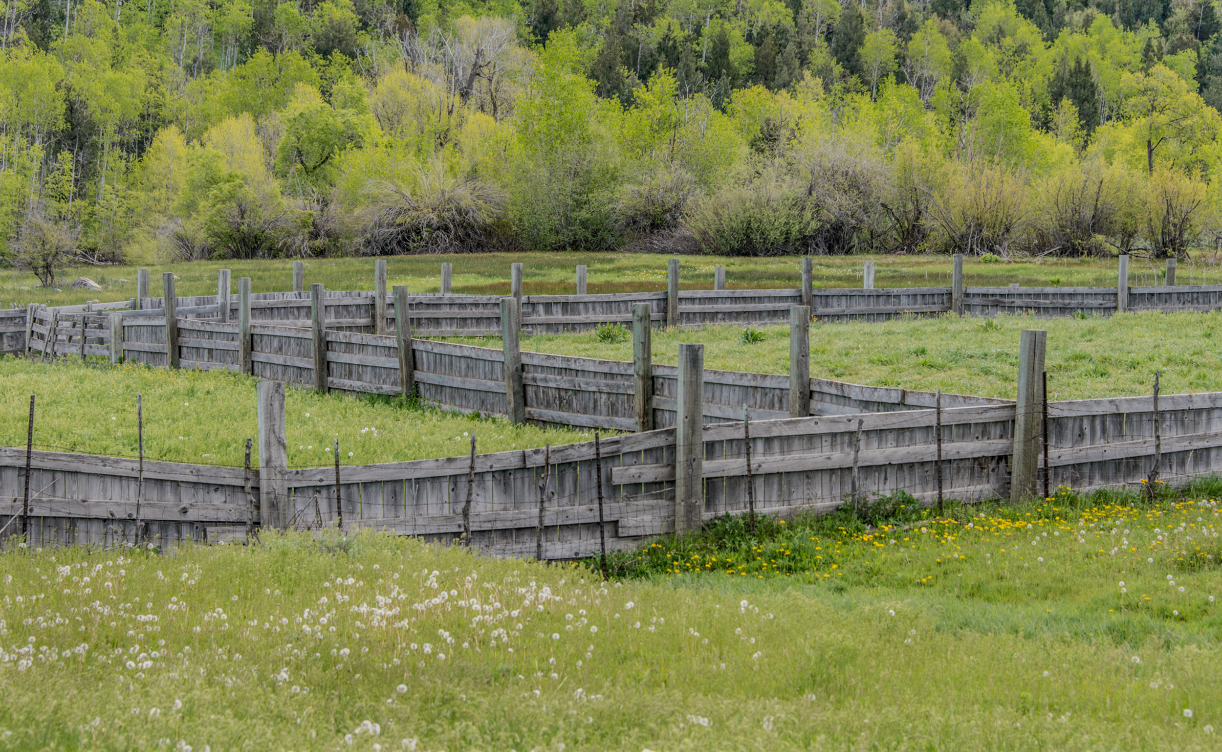  Corral near Eden, Utah © Robert Welkie 2017 