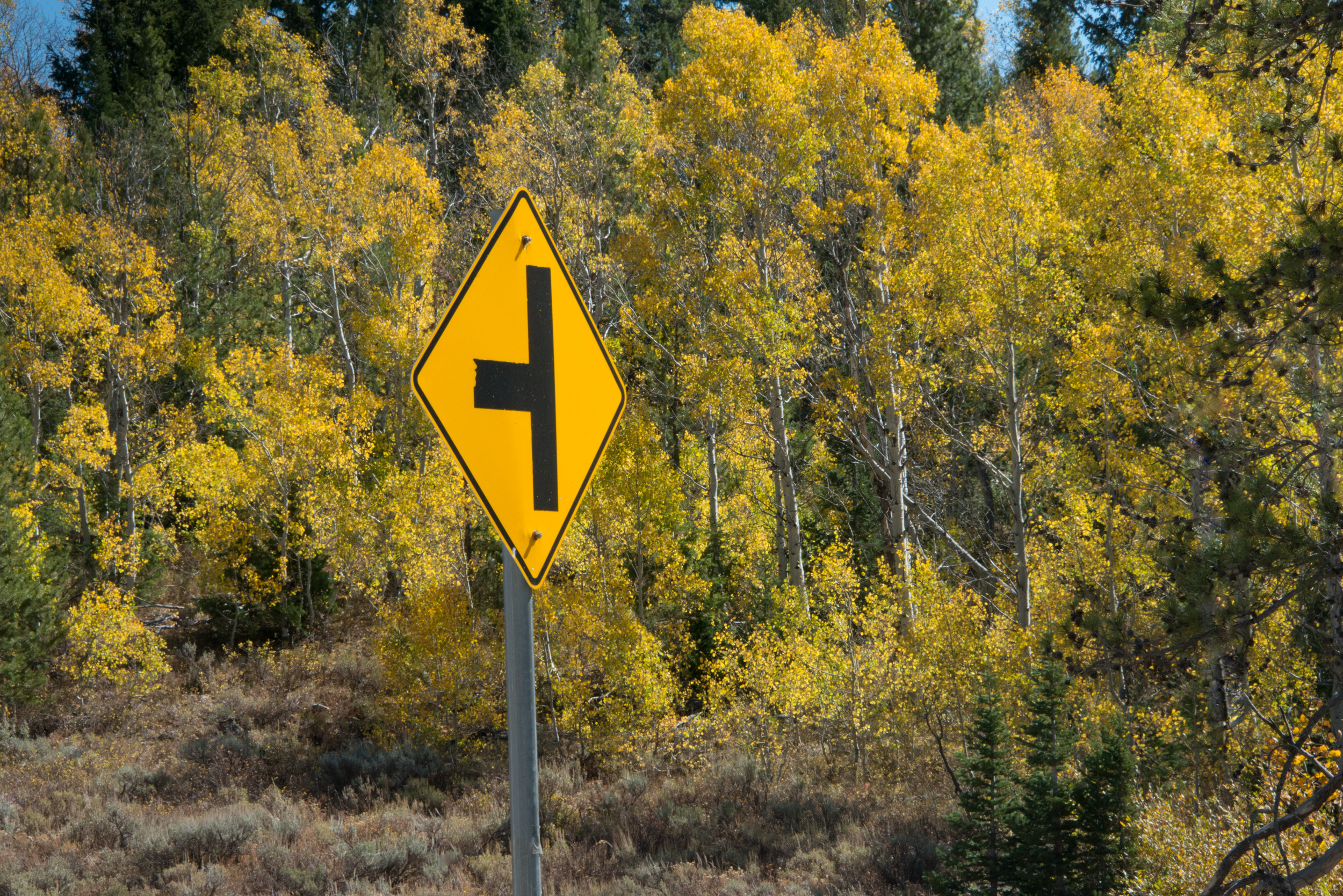  Sign, Logan, Canyon © Robert Brian Welkie 2018 