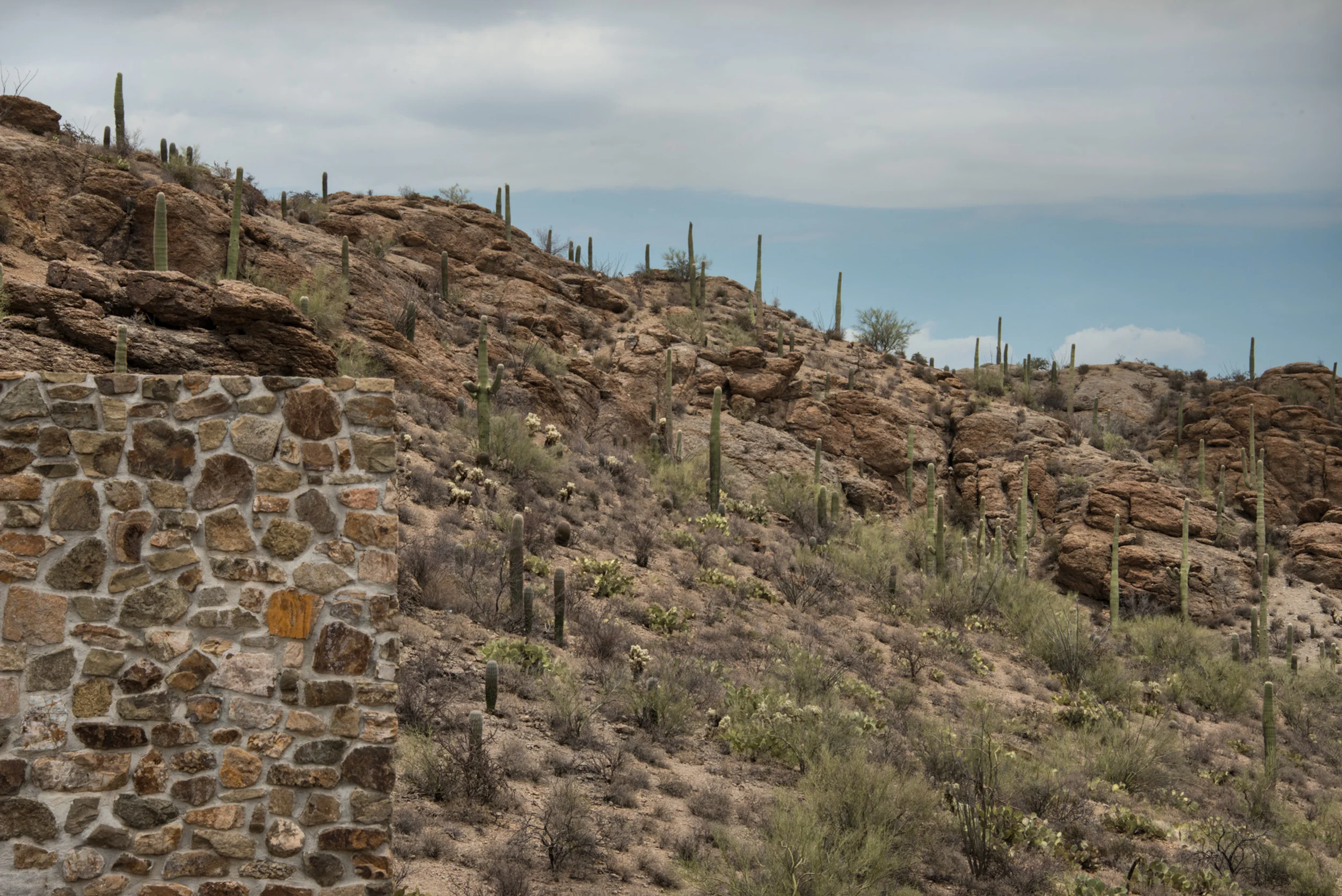 Wall and Saguaros at Gates Pass, Arizona © Robert Brian Welkie 2018