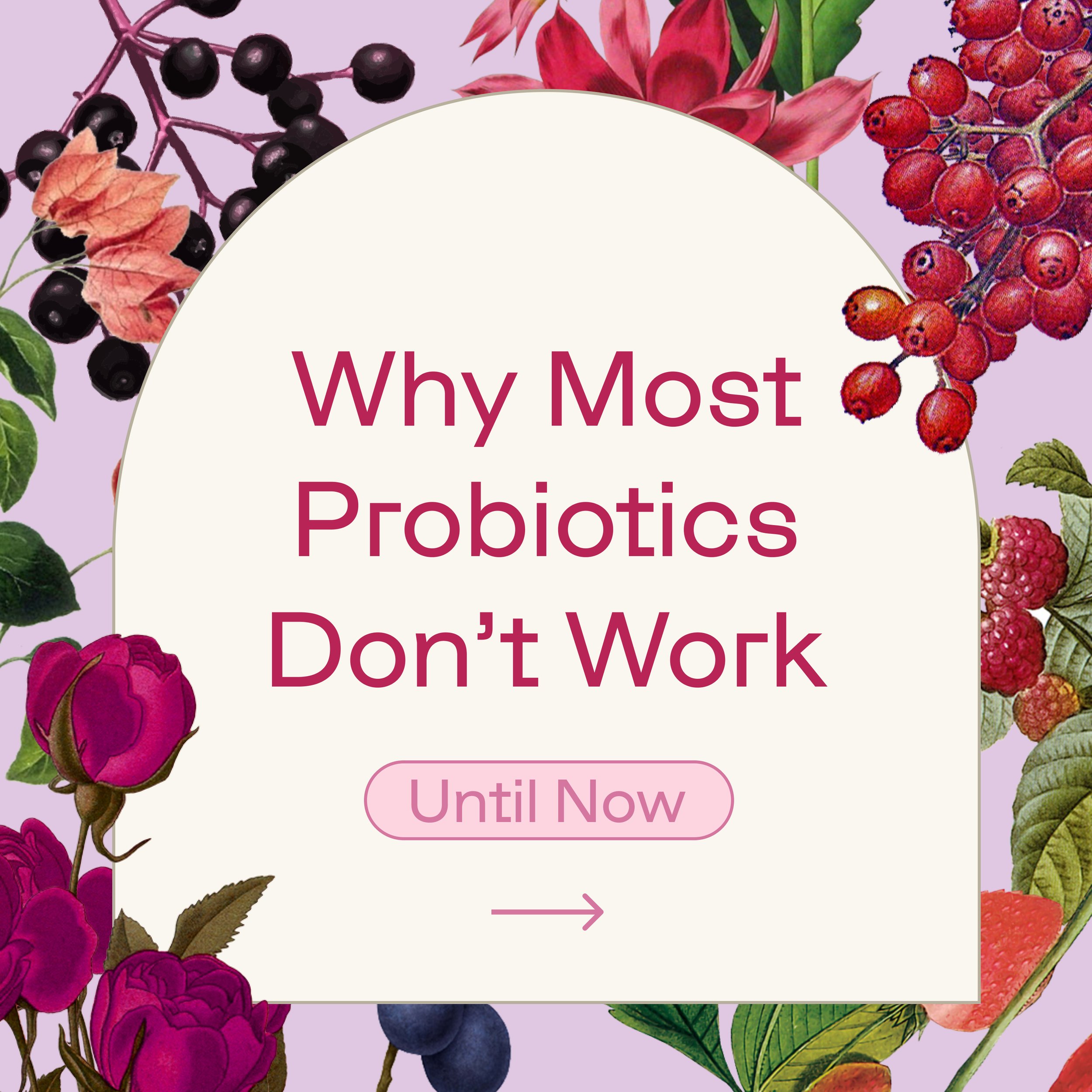 FLO22_DESIGNS_Why Most Probiotics Don't Work 1.jpg