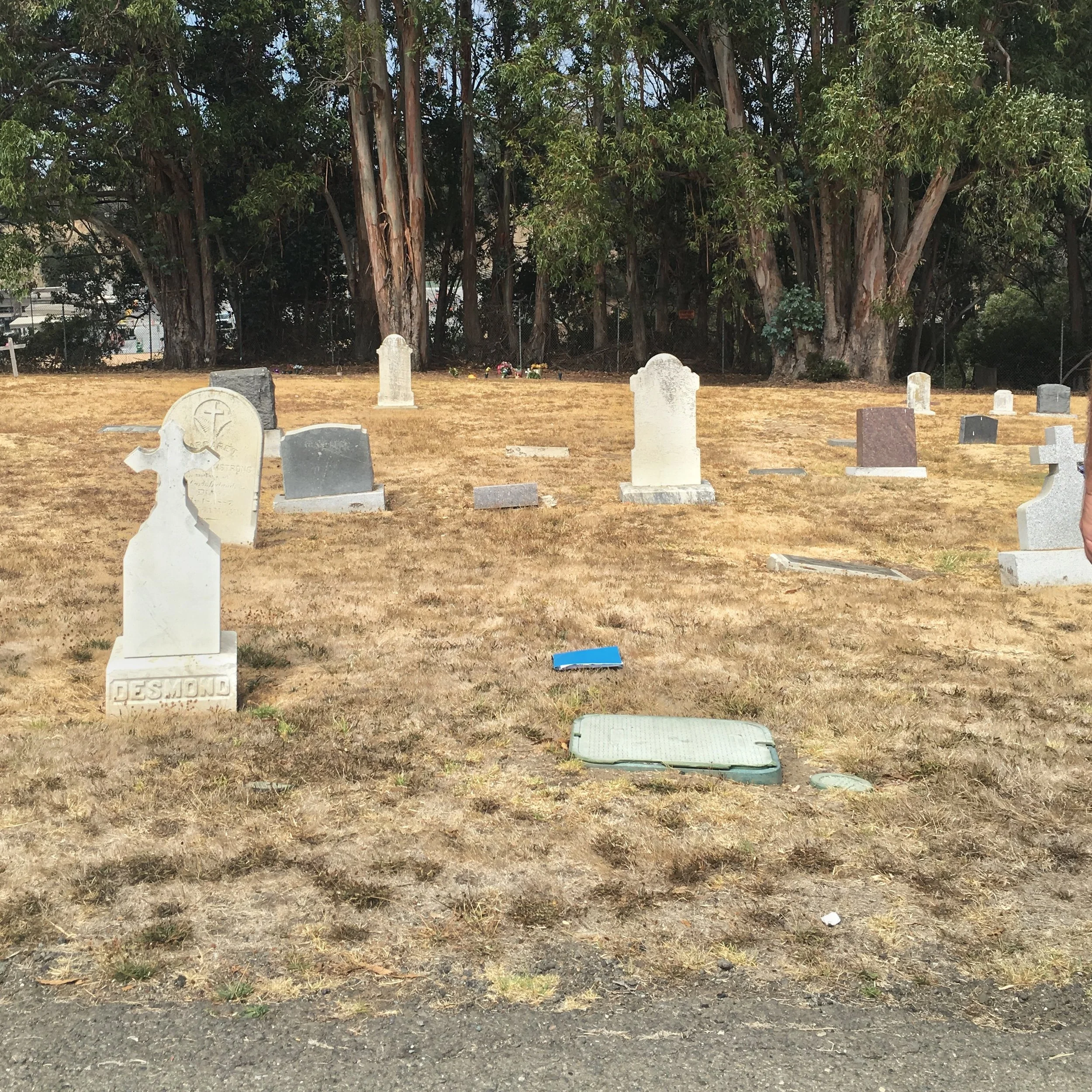 Unmarked gravesite of Dennis Cronin (the blue notebook is on the location)