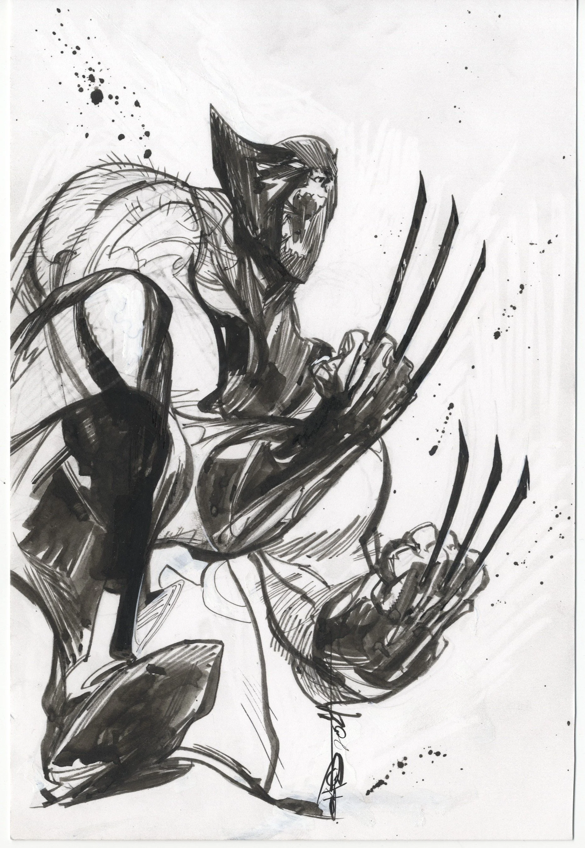 Wolverine 6x9.jpg